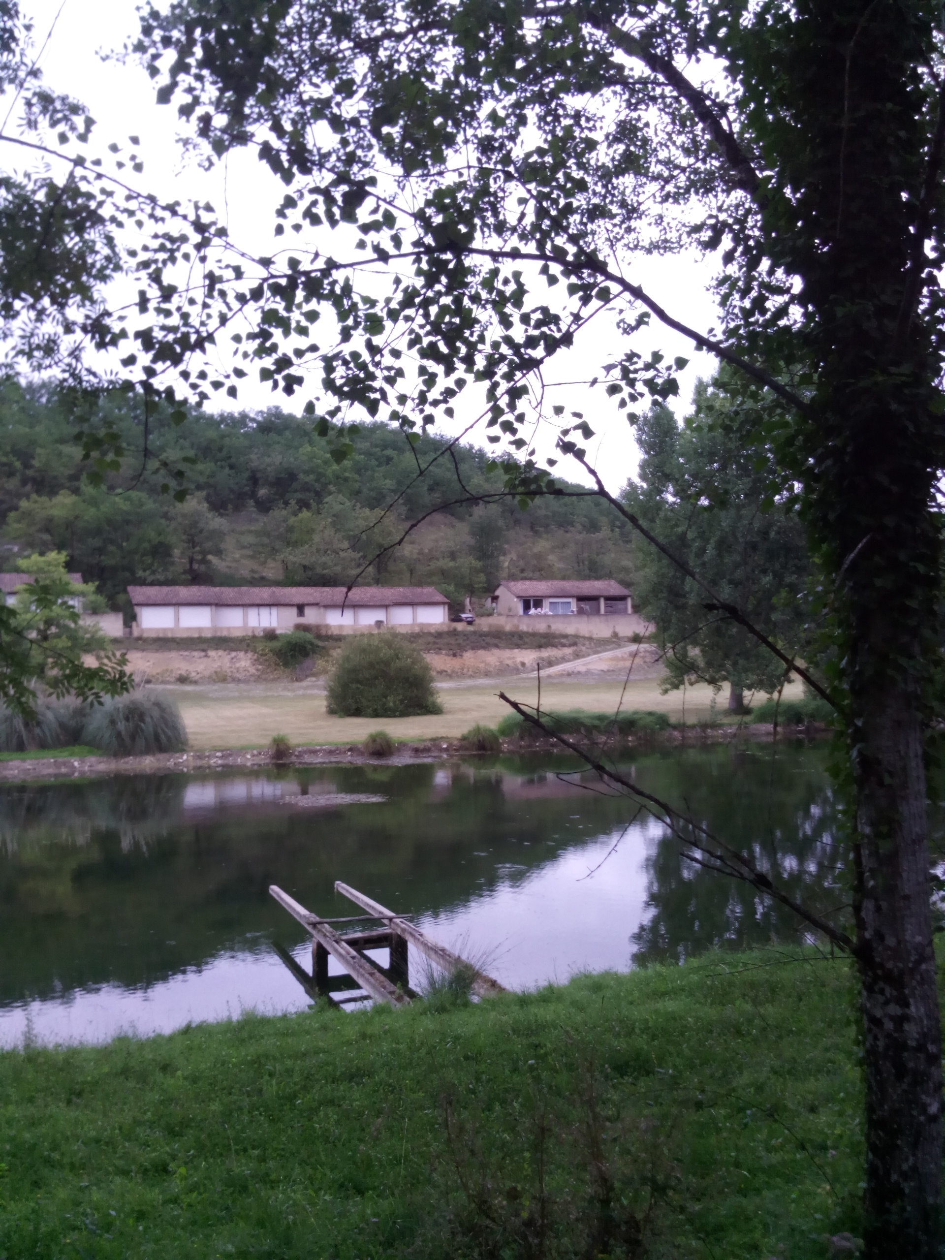 Le Clos des Romarins - Camélia