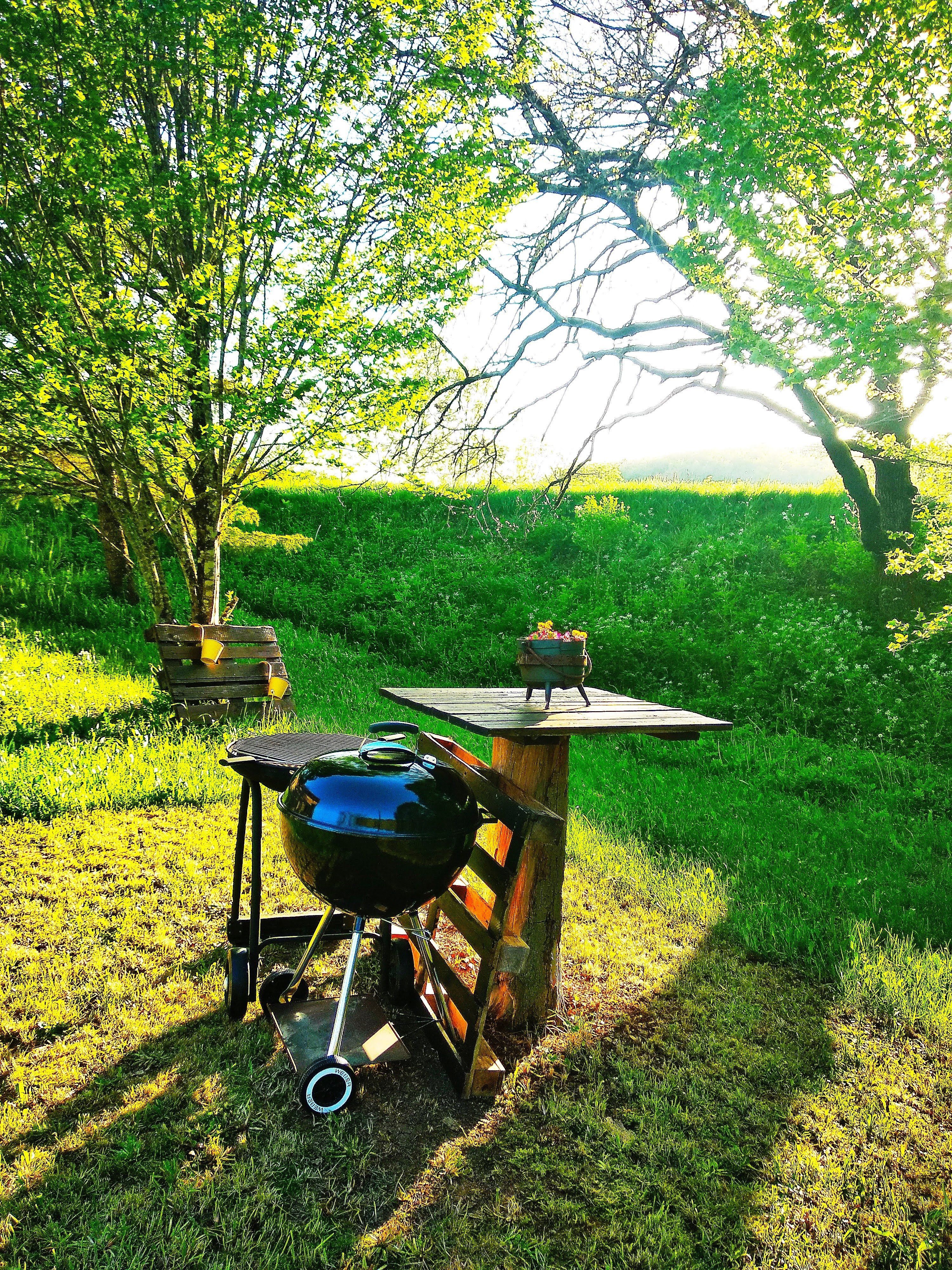 La combe du moulin, Nadaillac-de-Rouge - photo 4