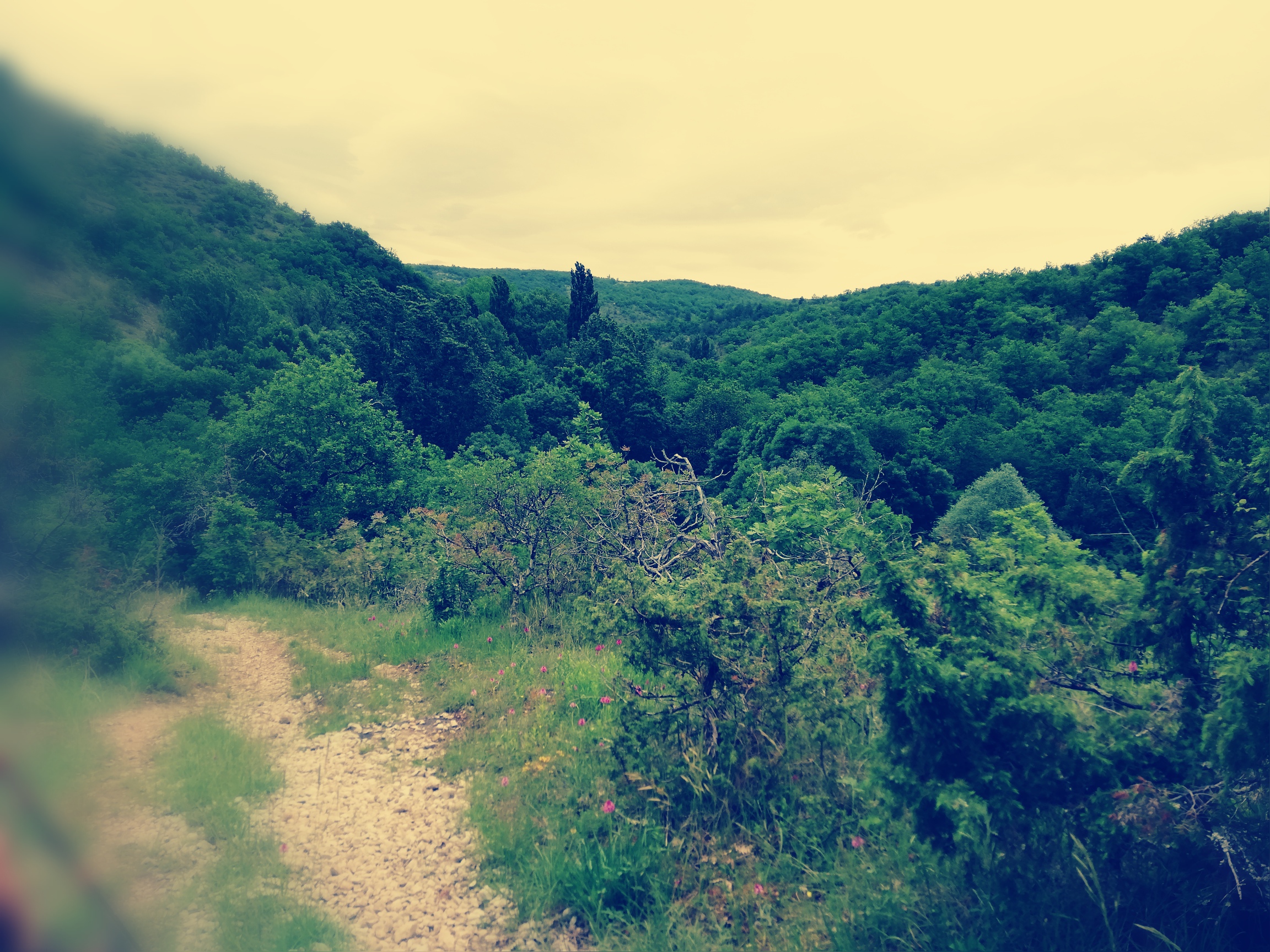 L'Etoile de Zakiel, Cambayrac - photo 3