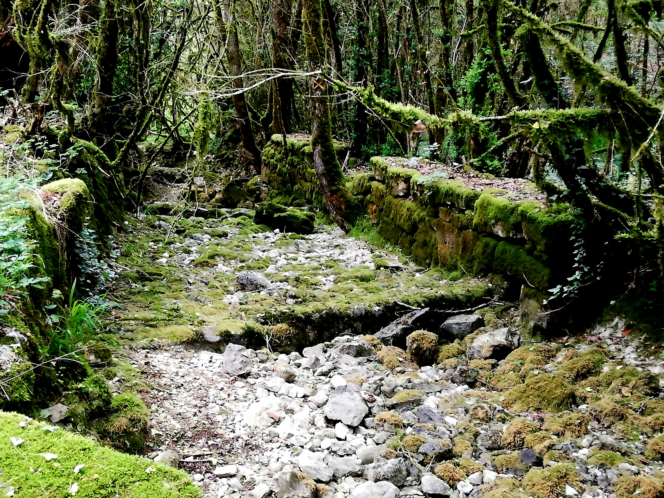 L'Etoile de Zakiel, Cambayrac - photo 4