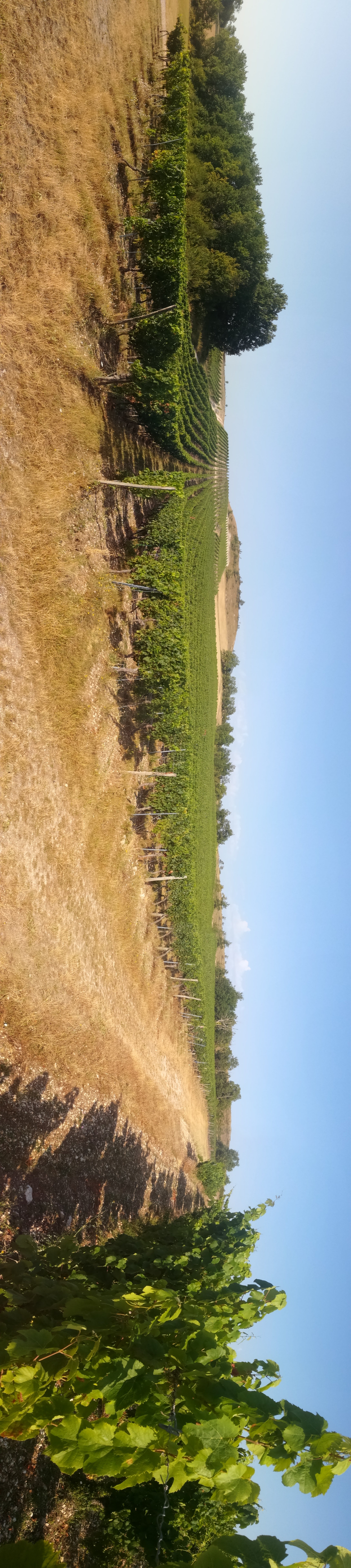 Aire du Domaine Pejusclat, Villesèque - photo 3