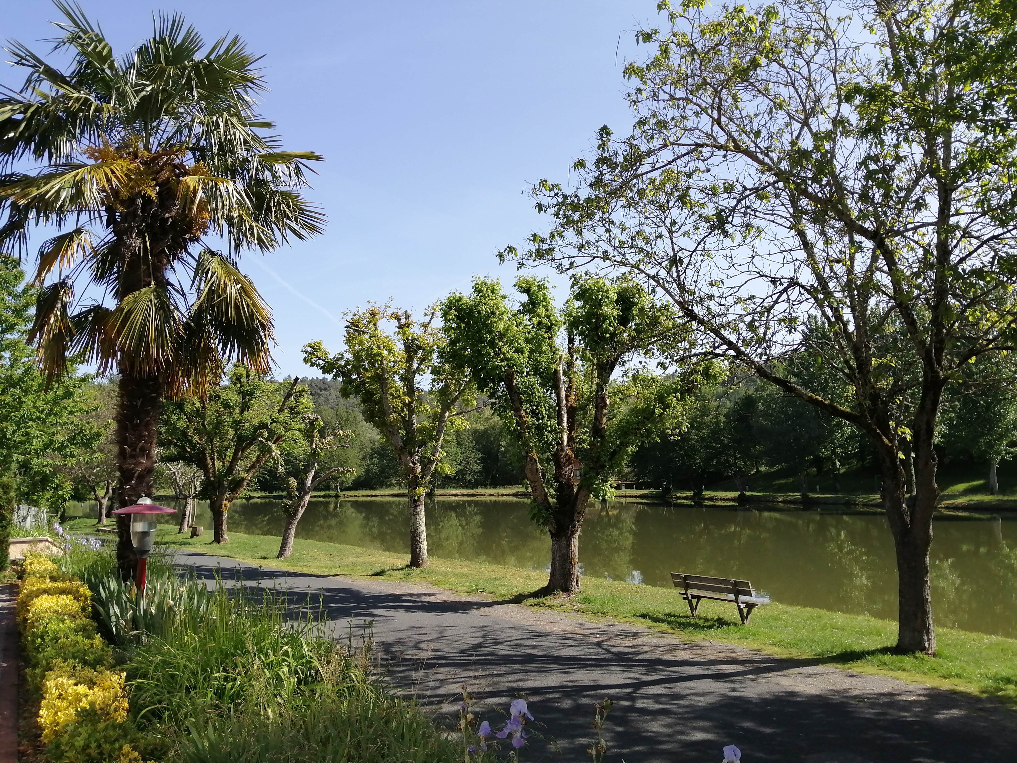 Restaurant L'Occitan, Payrignac - photo 3