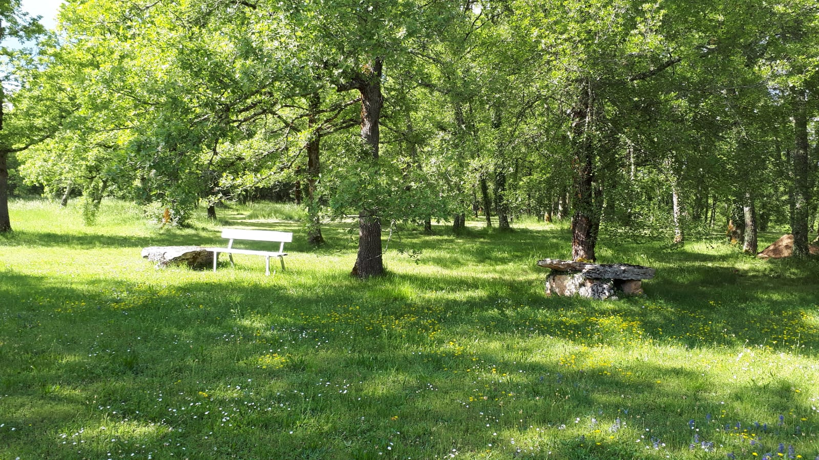 Le Jardin de Safran, Varaire - photo 4