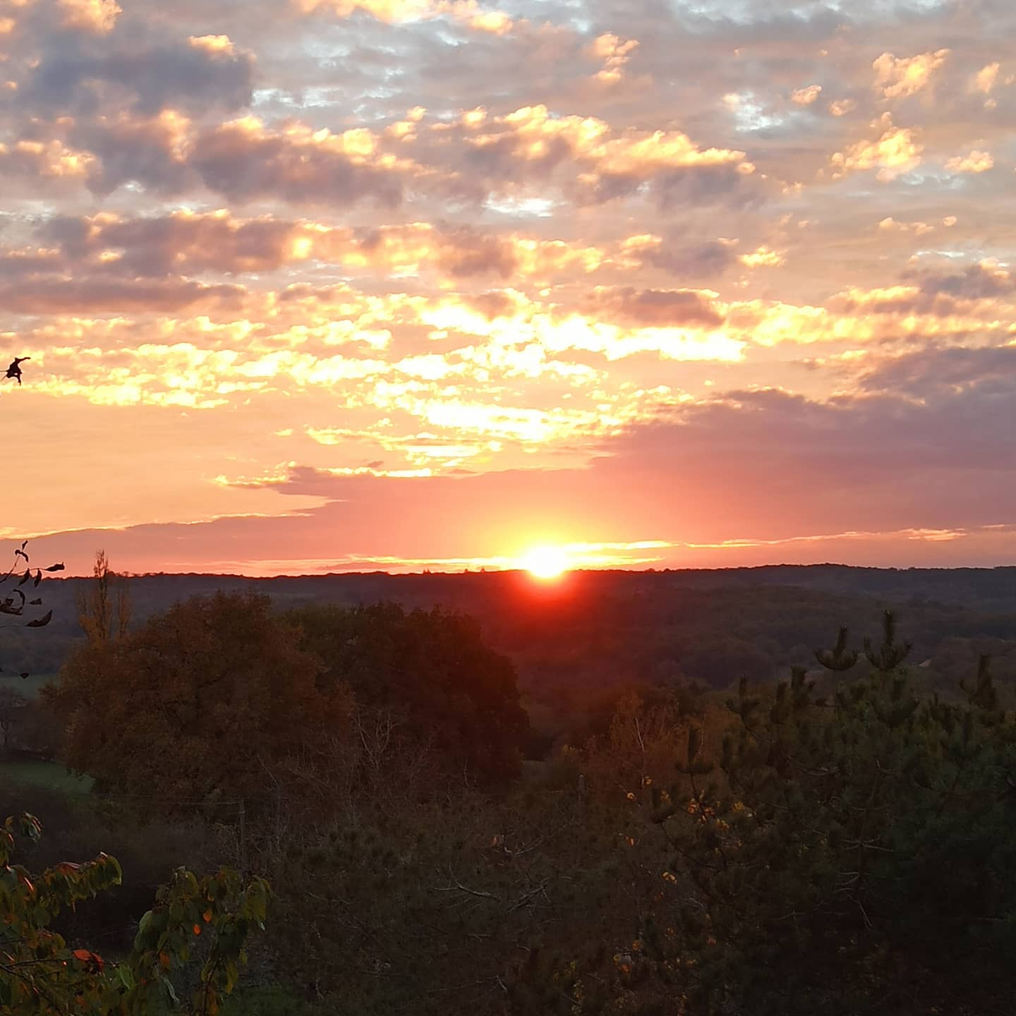 L'Orchidée Sauvage, Thédirac - photo 7