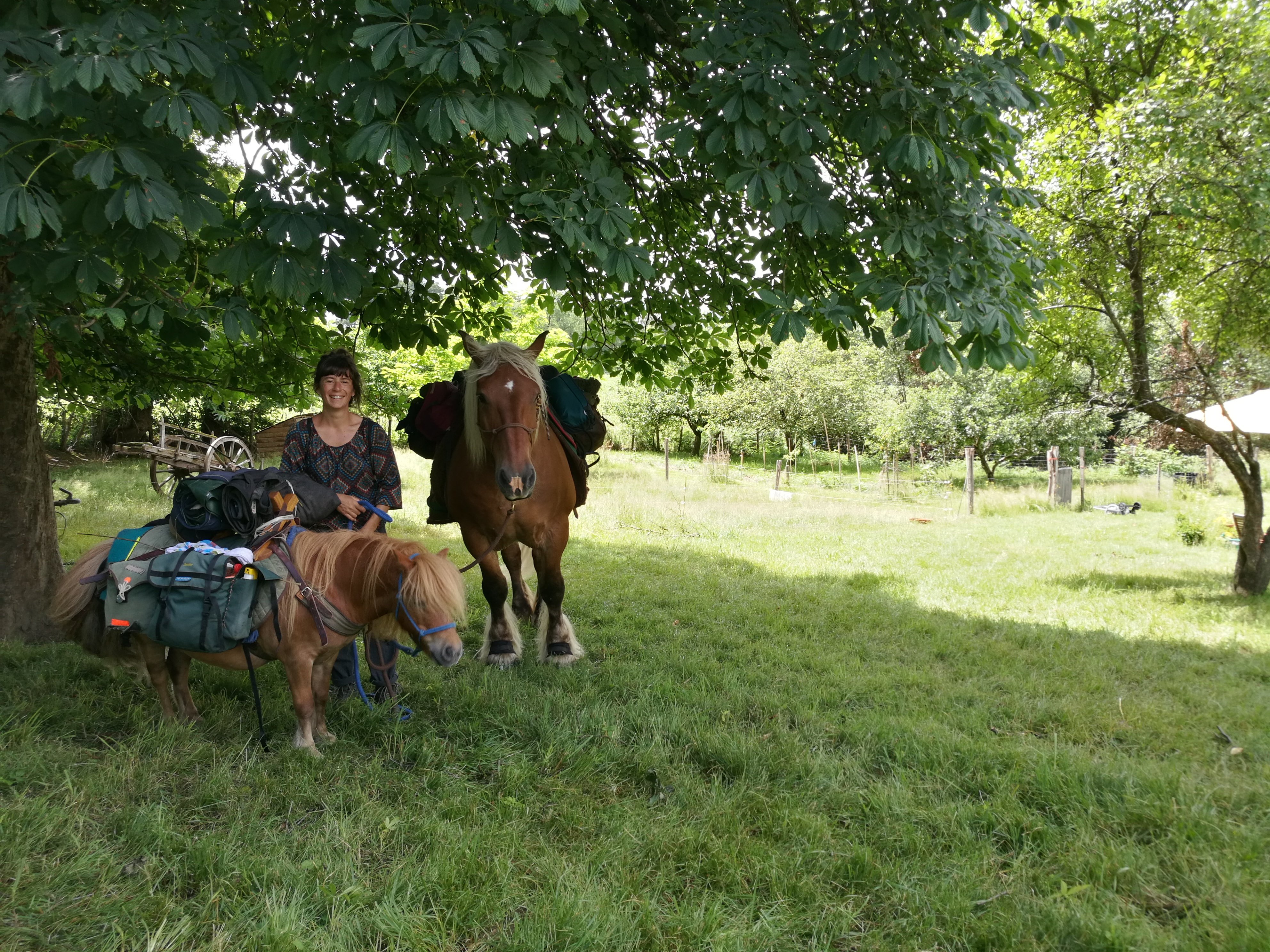 Le Fournil du Terly, Felzins - photo 6