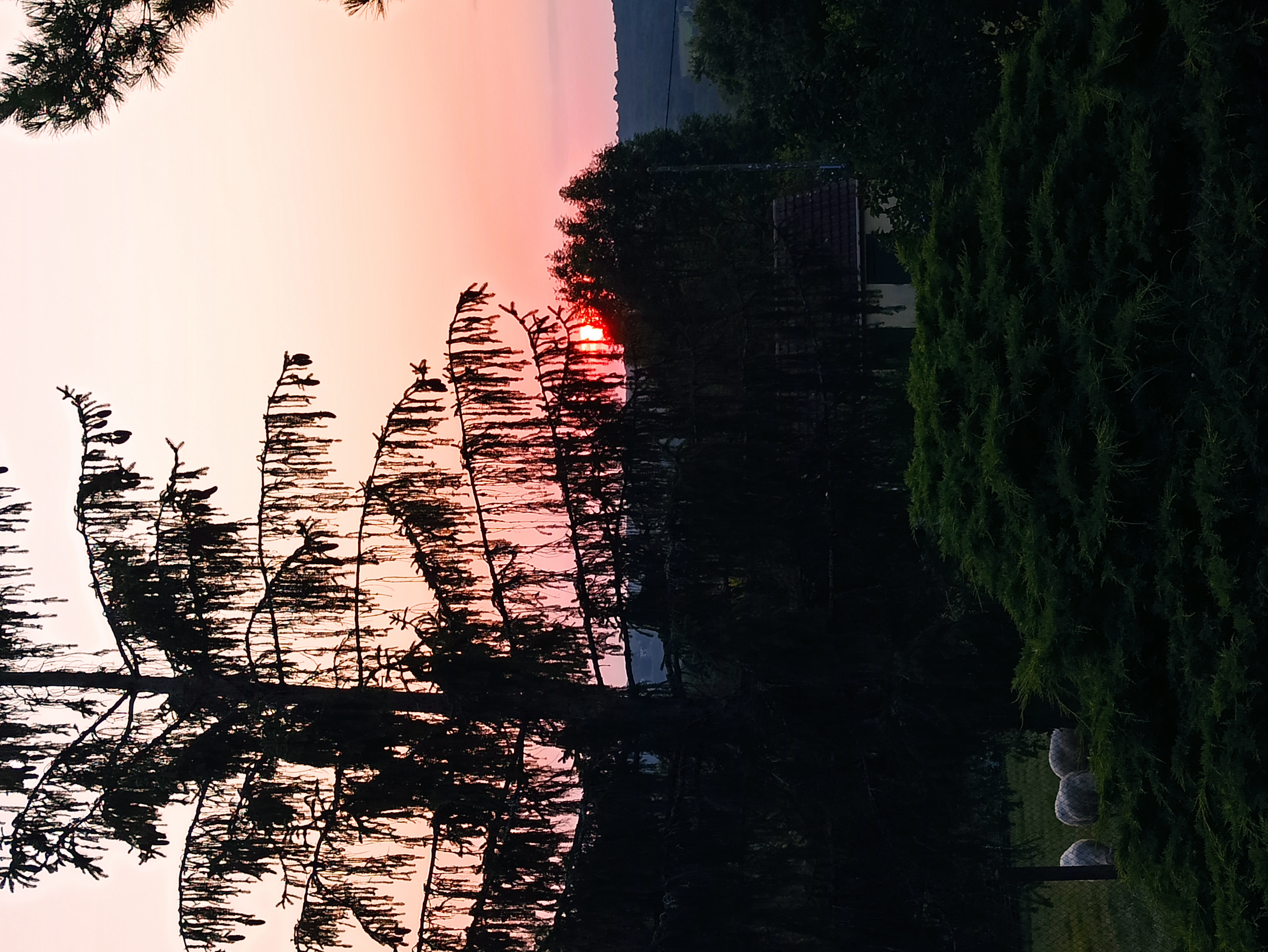 L'Orchidée Sauvage, Thédirac - photo 8