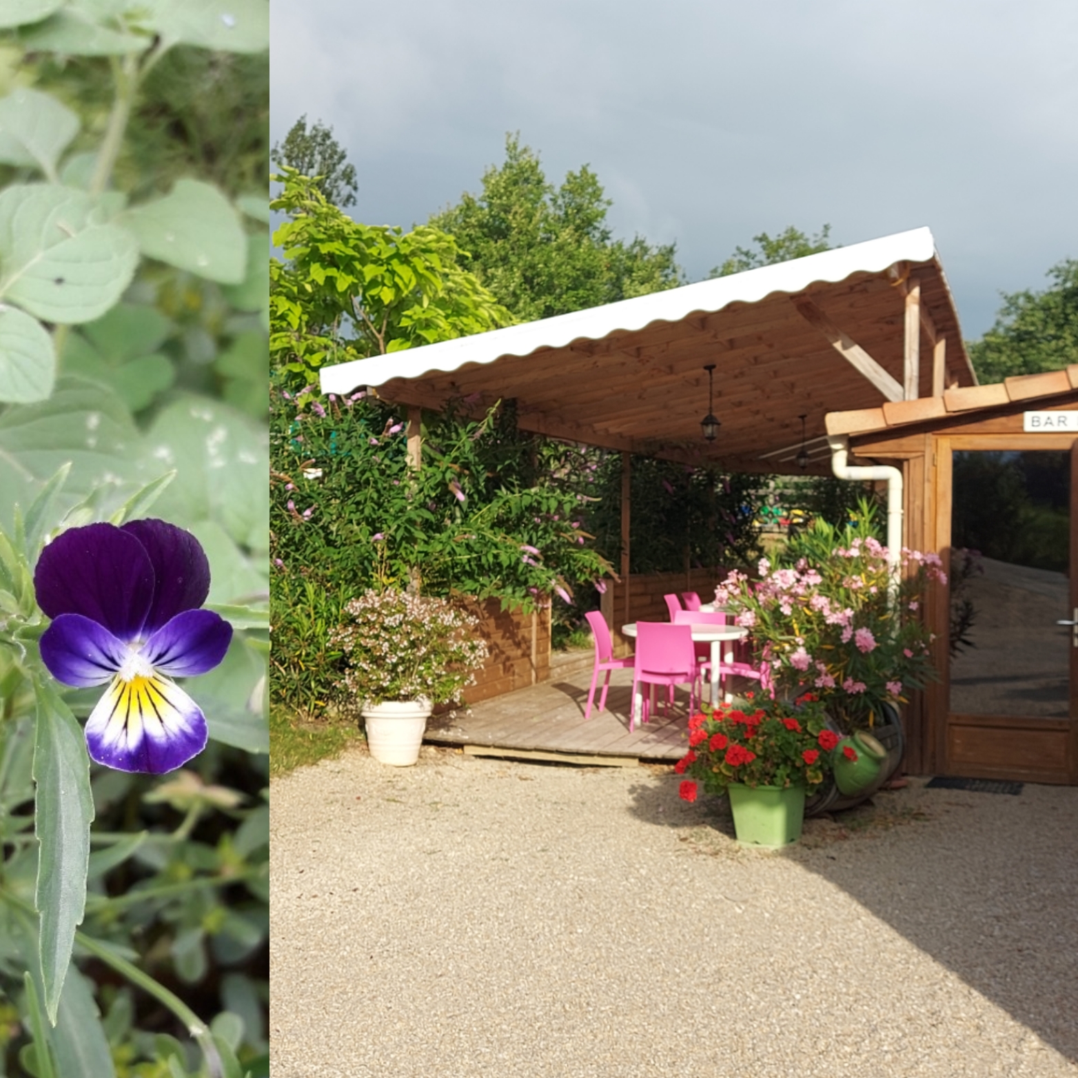 Camping Bellevue, Reilhaguet - photo 7