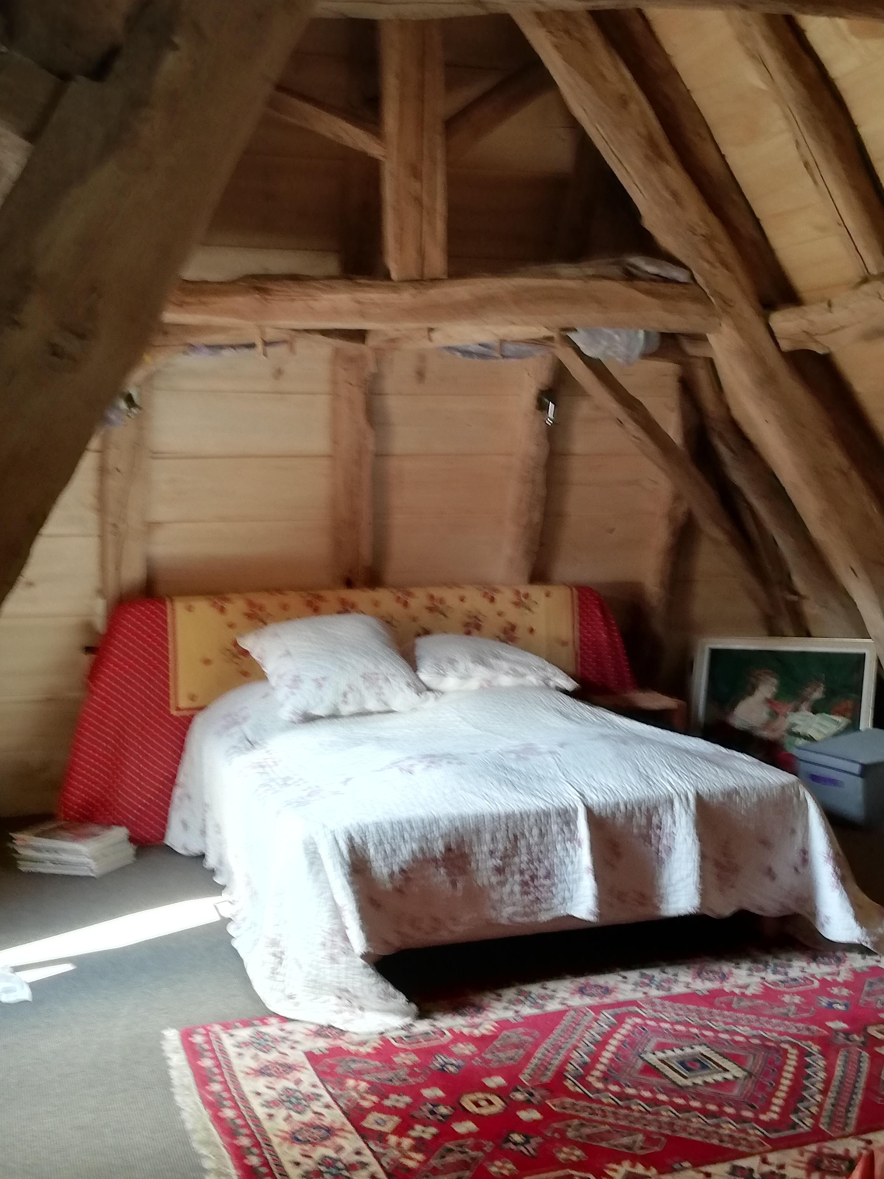 Maison de Boyé, Thédirac - photo 2