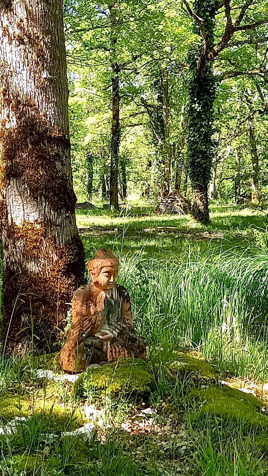 Le Jardin de Safran, Varaire - photo 5