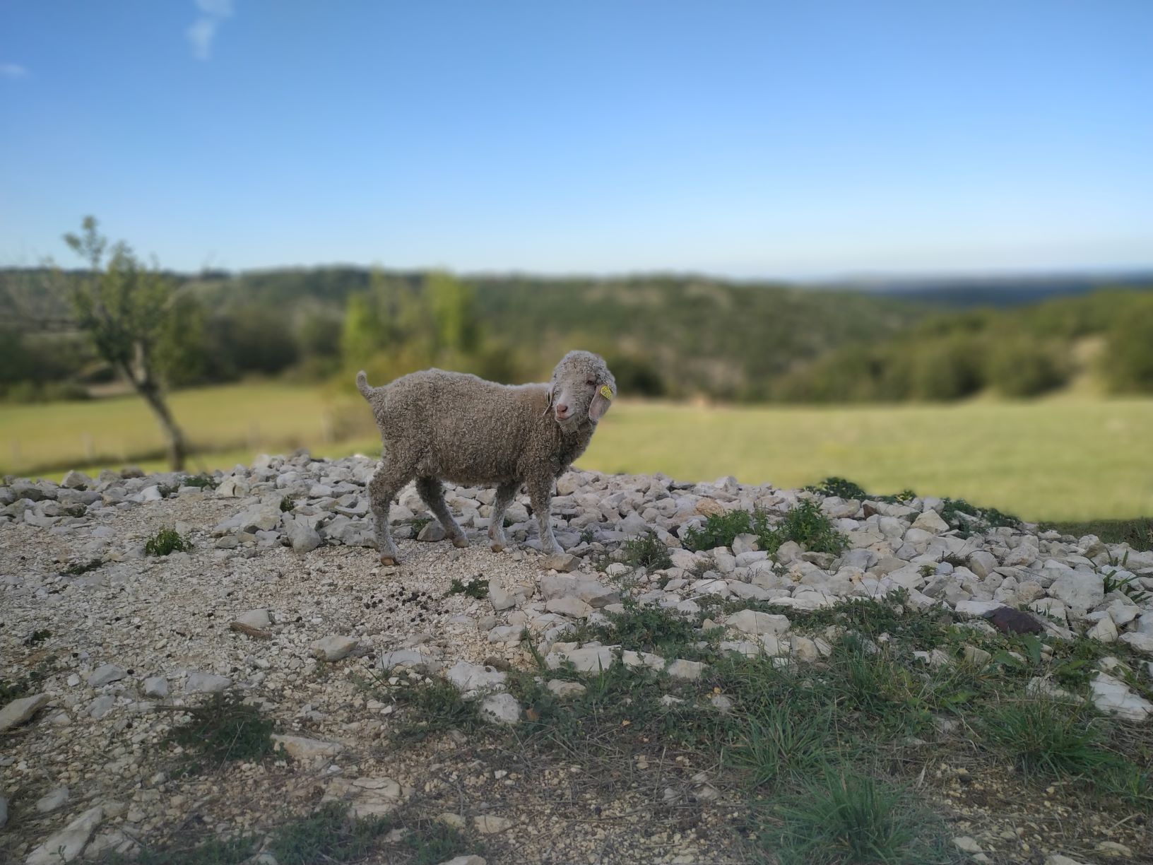Camping Horizon Mohair, Saint-Projet - photo 8