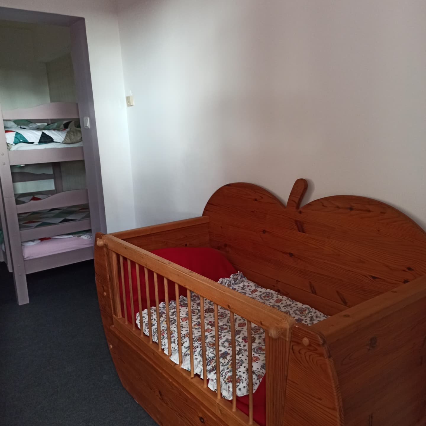 L'Orchidée Sauvage, Thédirac - photo 9