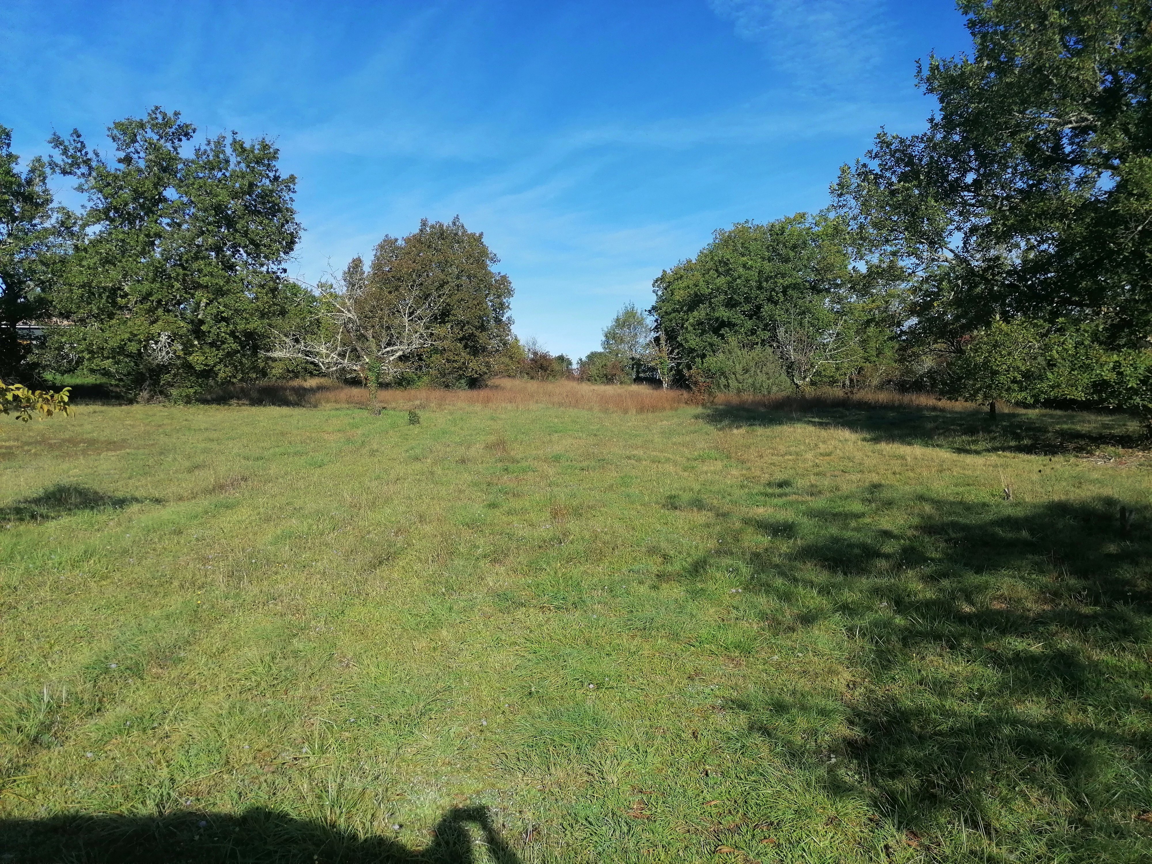 Les Racines de Lili, Cieurac - photo 10