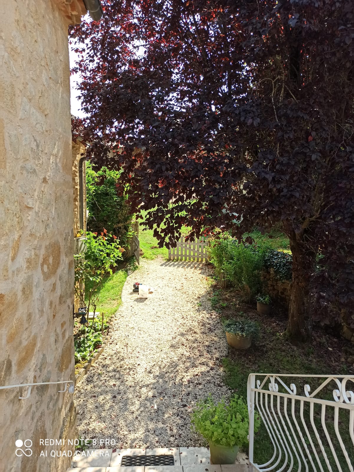 Clos des Hirondelles Rouffiac, Saint-Cirq-Madelon - photo 5