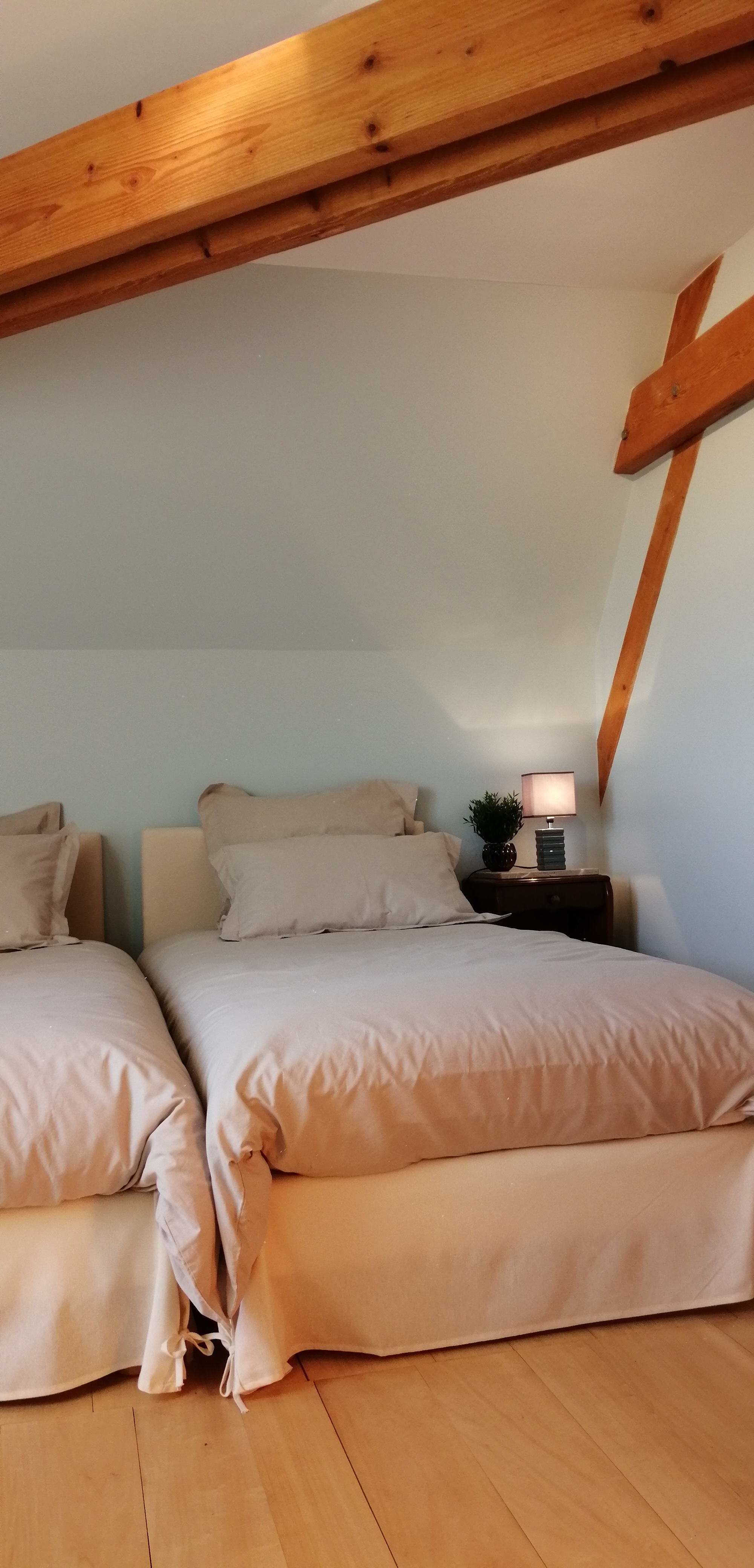 La Ferme de Bernadou, Girac - photo 12