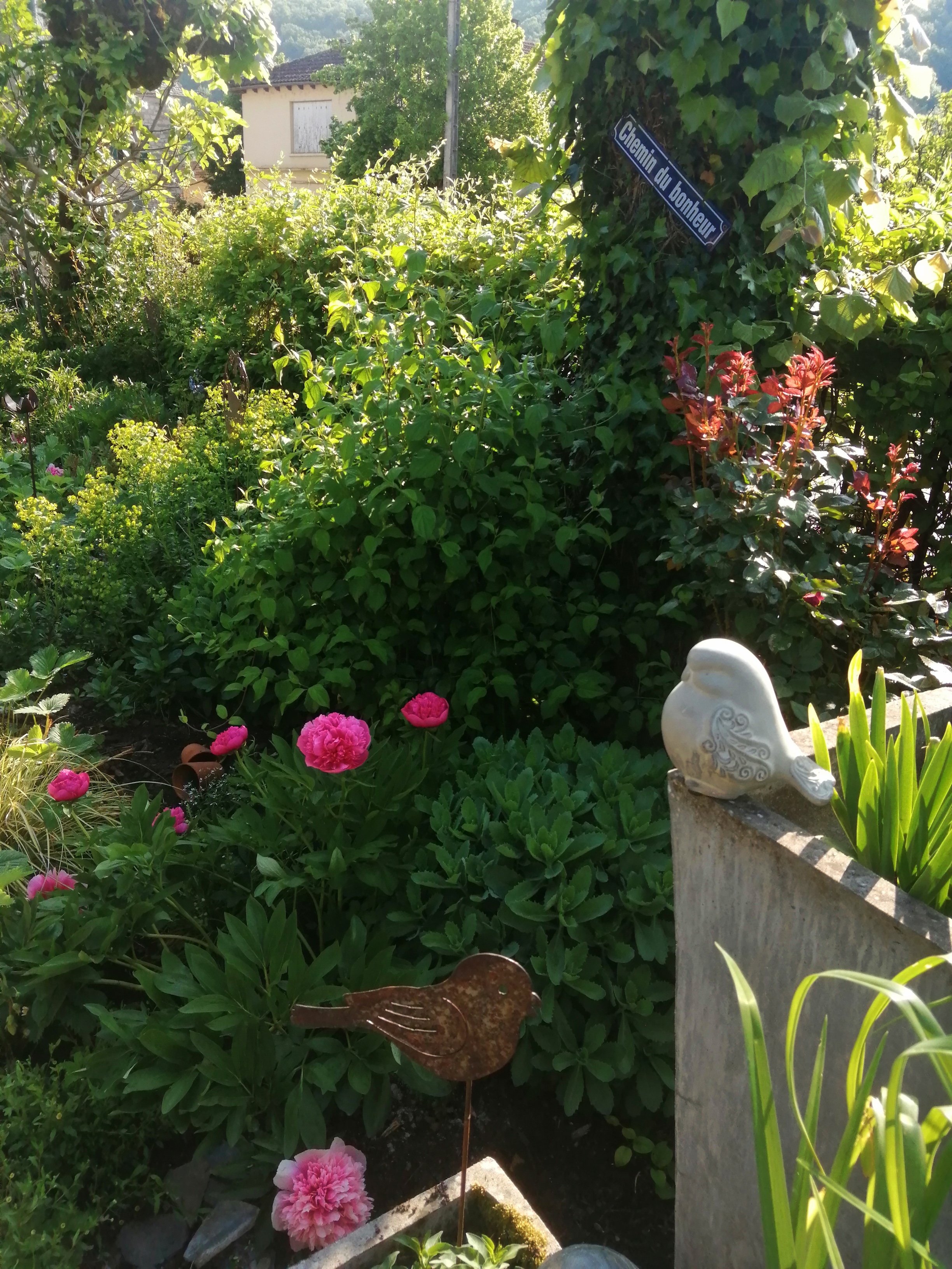 La Maison Ô Kiwis - Chambre d'hôtes, Saint-Denis-lès-Martel - photo 7