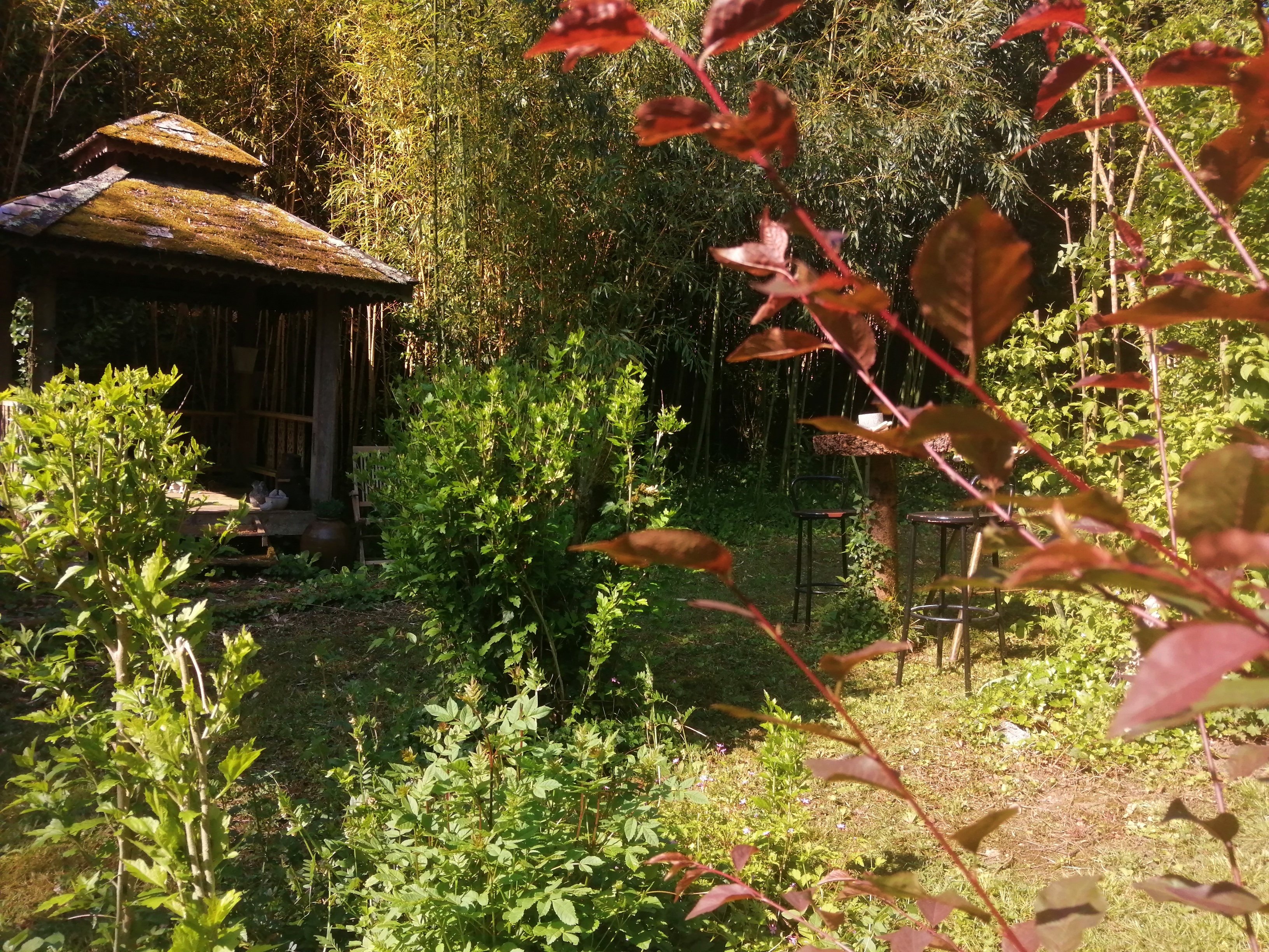 La Maison Ô Kiwis - Chambre d'hôtes, Saint-Denis-lès-Martel - photo 9