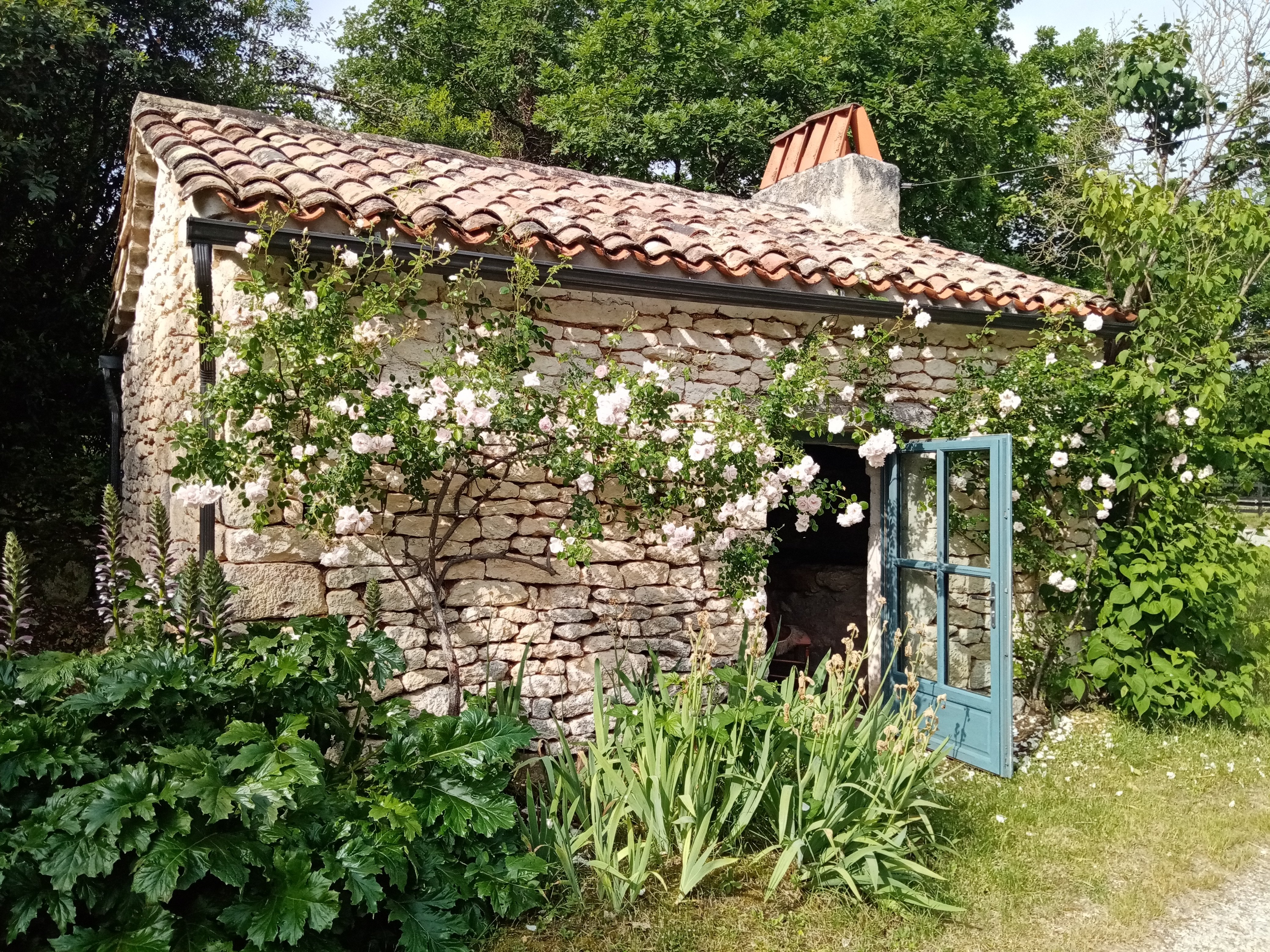 Chambres d'hôtes la Servie, Belfort-du-Quercy - photo 7
