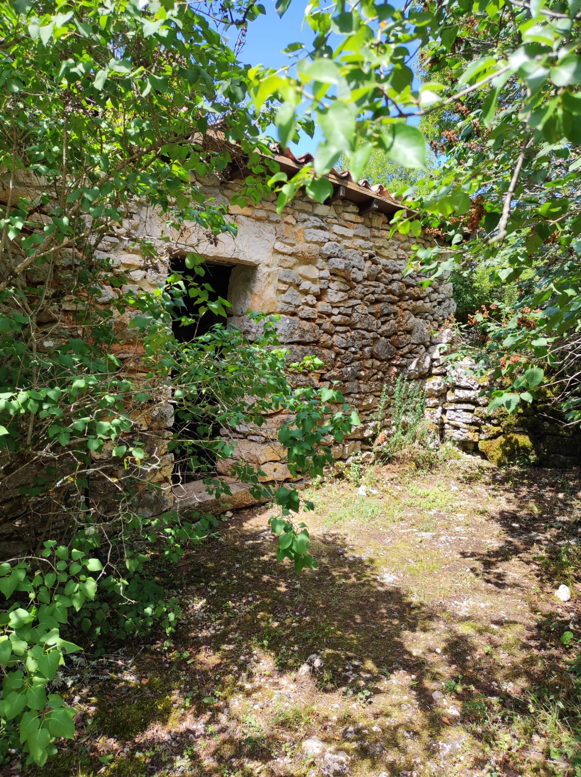 Gîte au Lac de Blars, Sénaillac-Lauzès - photo 11
