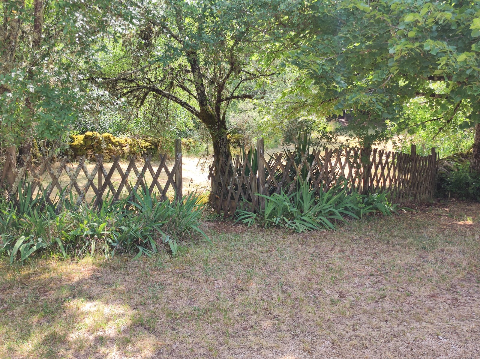 Gîte au Lac de Blars, Sénaillac-Lauzès - photo 16