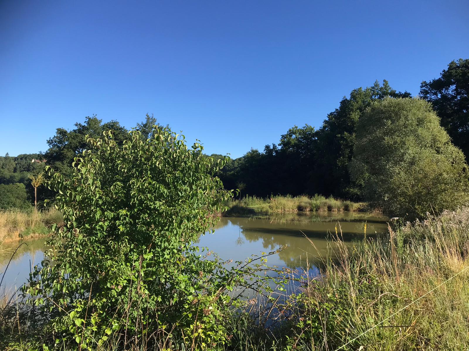 Nid'en'Ô Les Cabanes dans les Arbres, Lamothe-Fénelon - photo 5