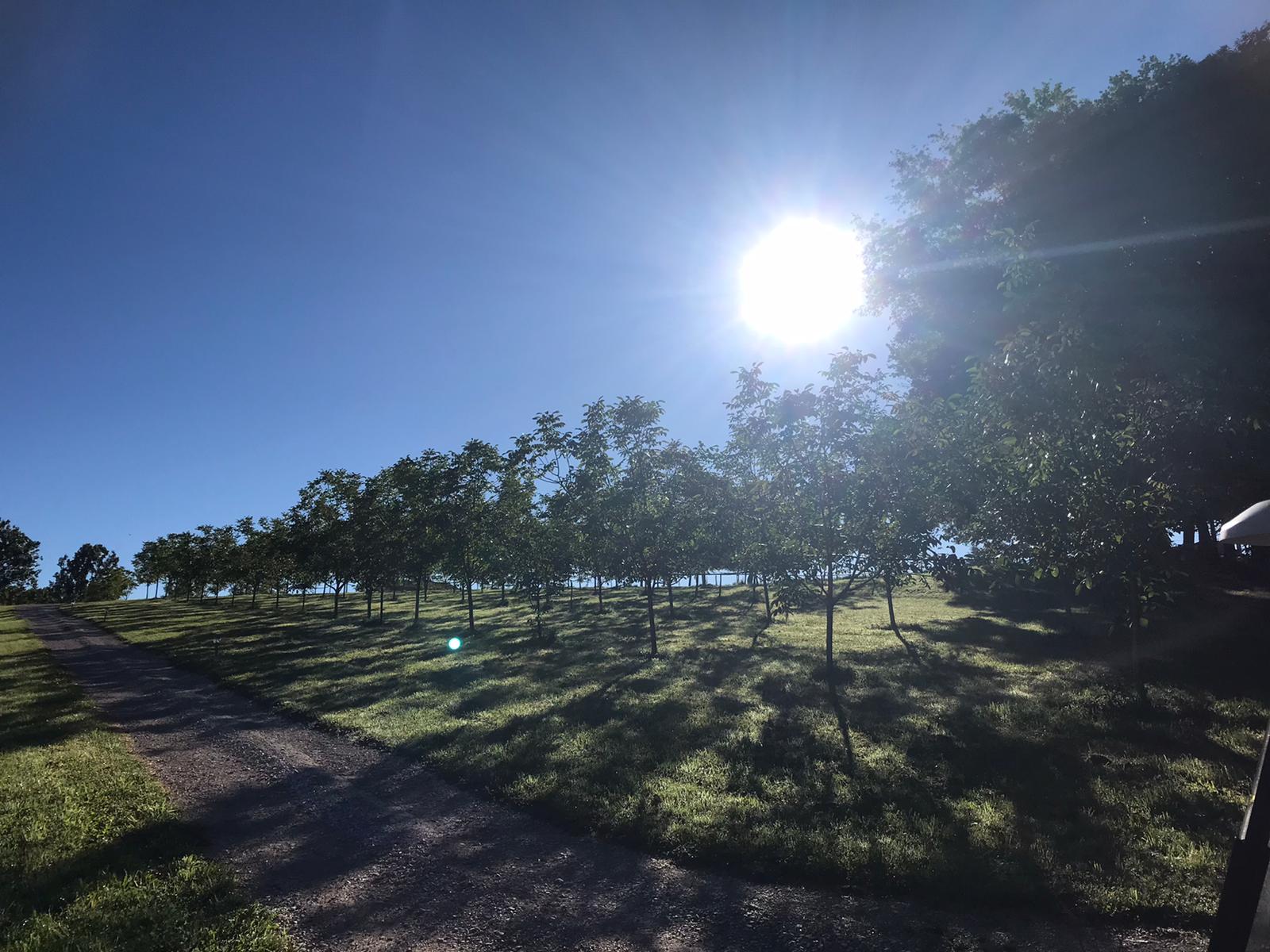 Nid'en'Ô Les Cabanes dans les Arbres, Lamothe-Fénelon - photo 6