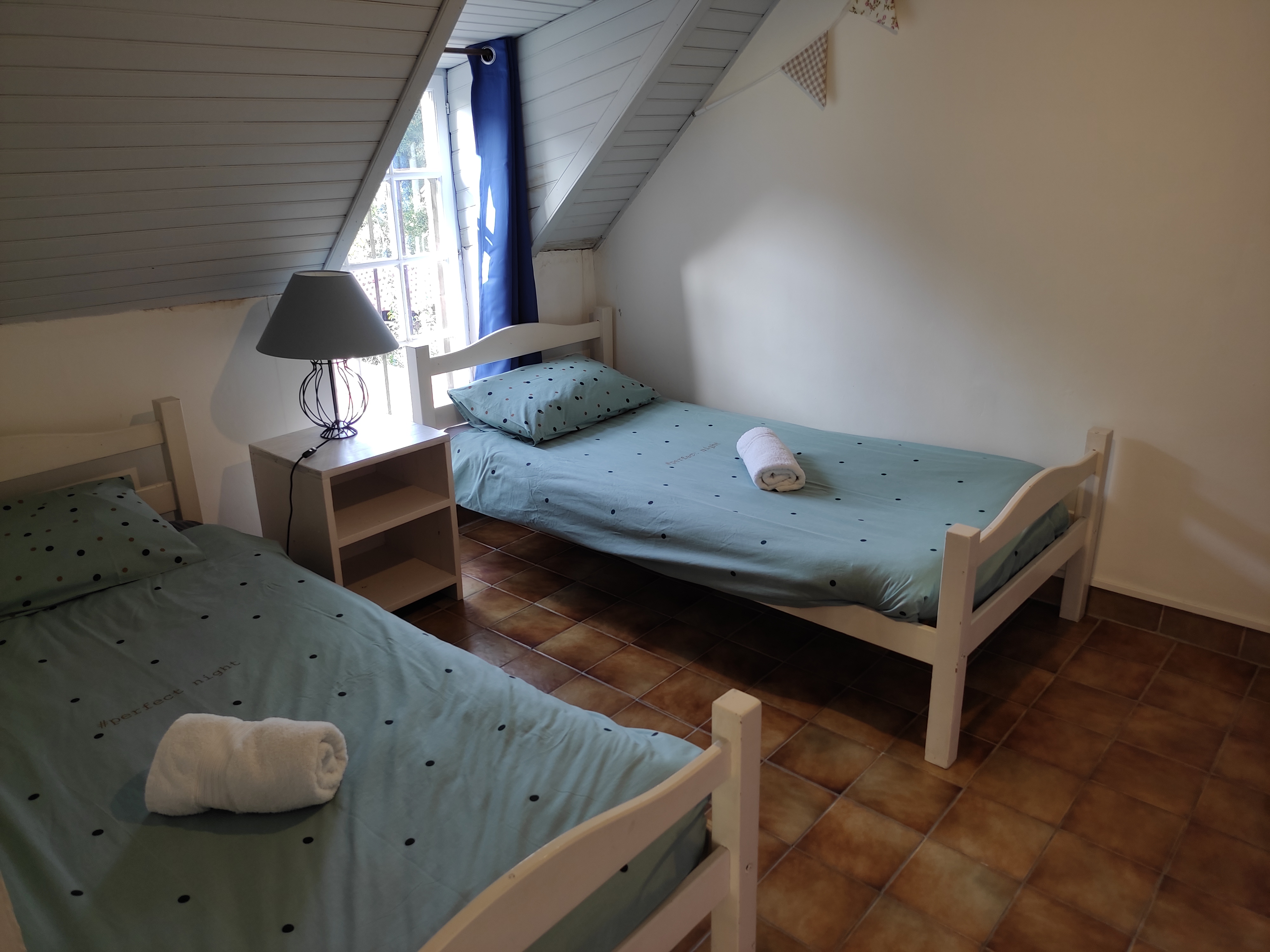 Pagel - Soleil Levant, Catus - photo 3