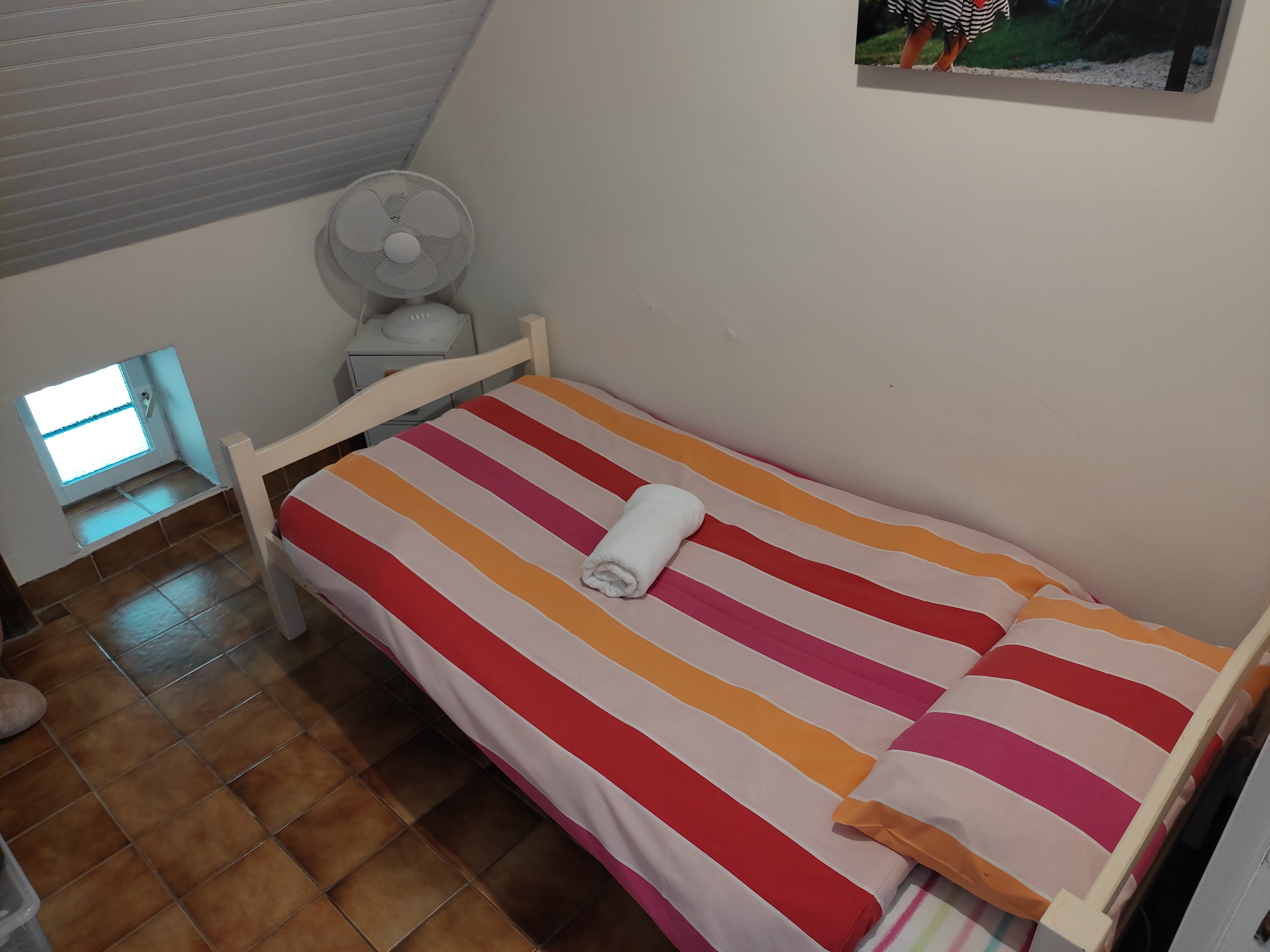 Pagel - Soleil Levant, Catus - photo 4