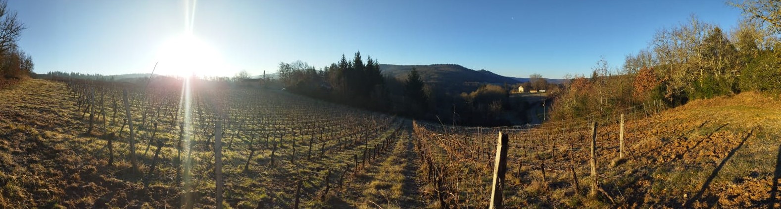 Domaine Dols
