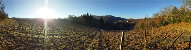 Domaine Dols