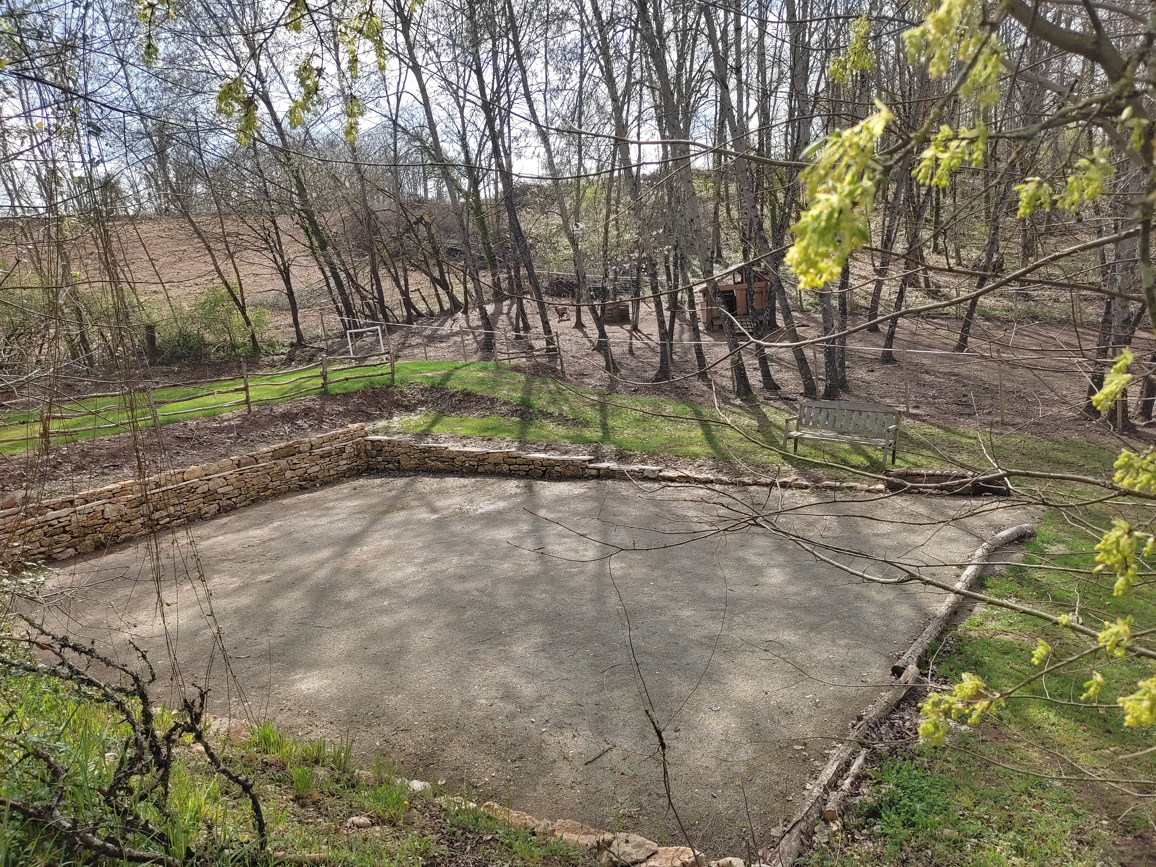 Pagel, Catus - photo 9