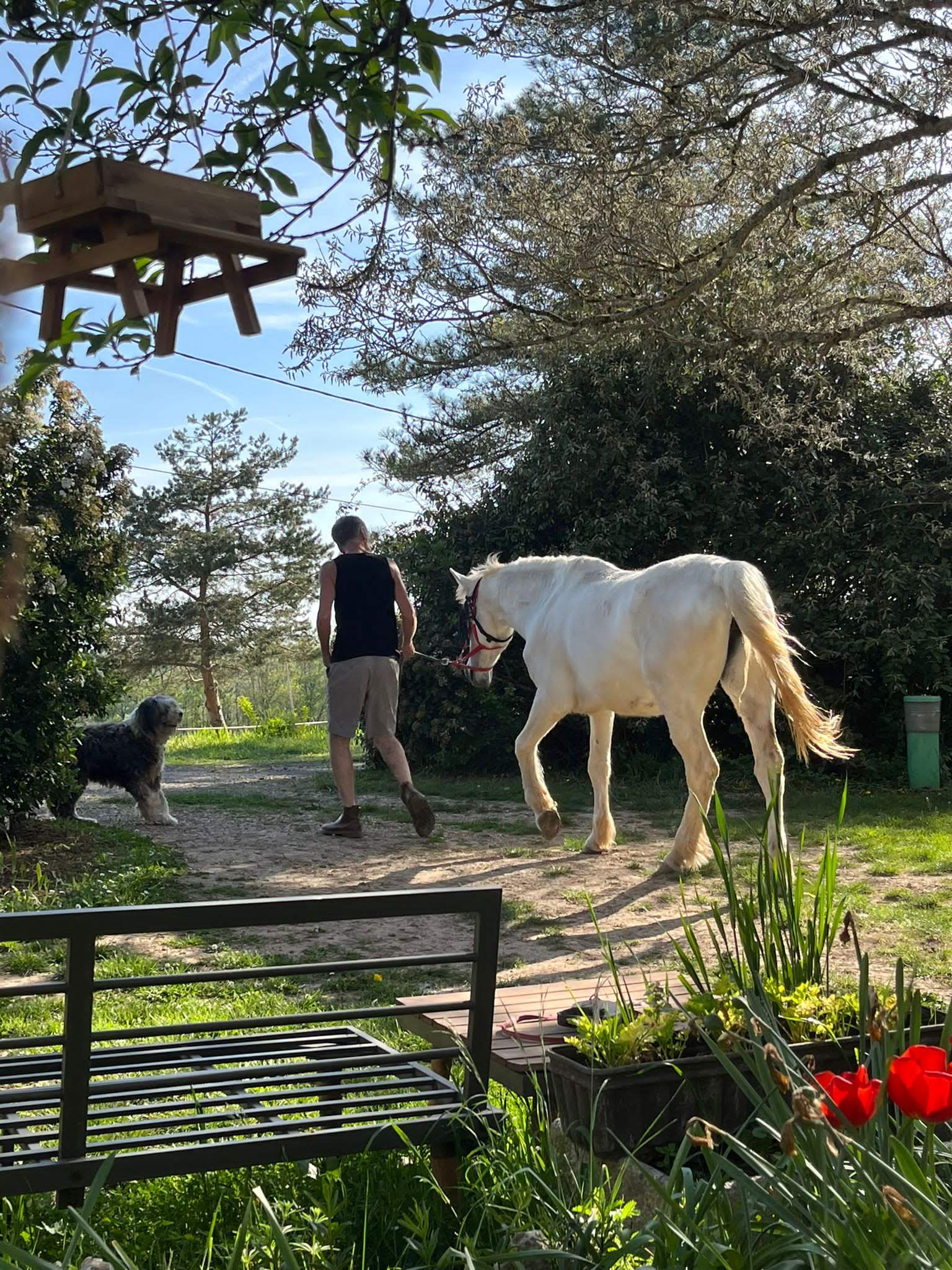 Rusty Shears, Lacapelle-Cabanac - photo 29