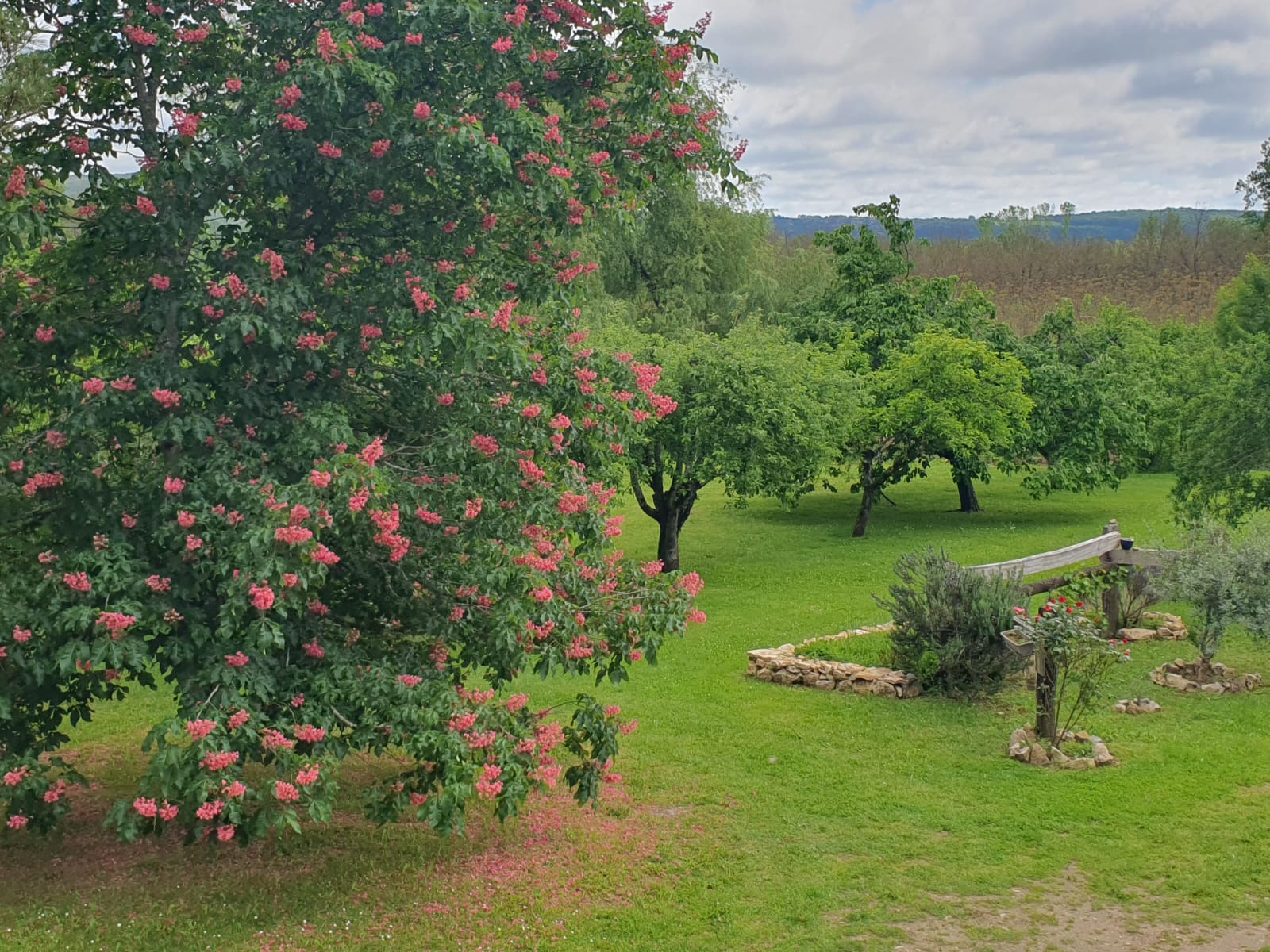 Les volets rouges - Le séchoir gîte de charme classé, Saint-Denis-lès-Martel - photo 9