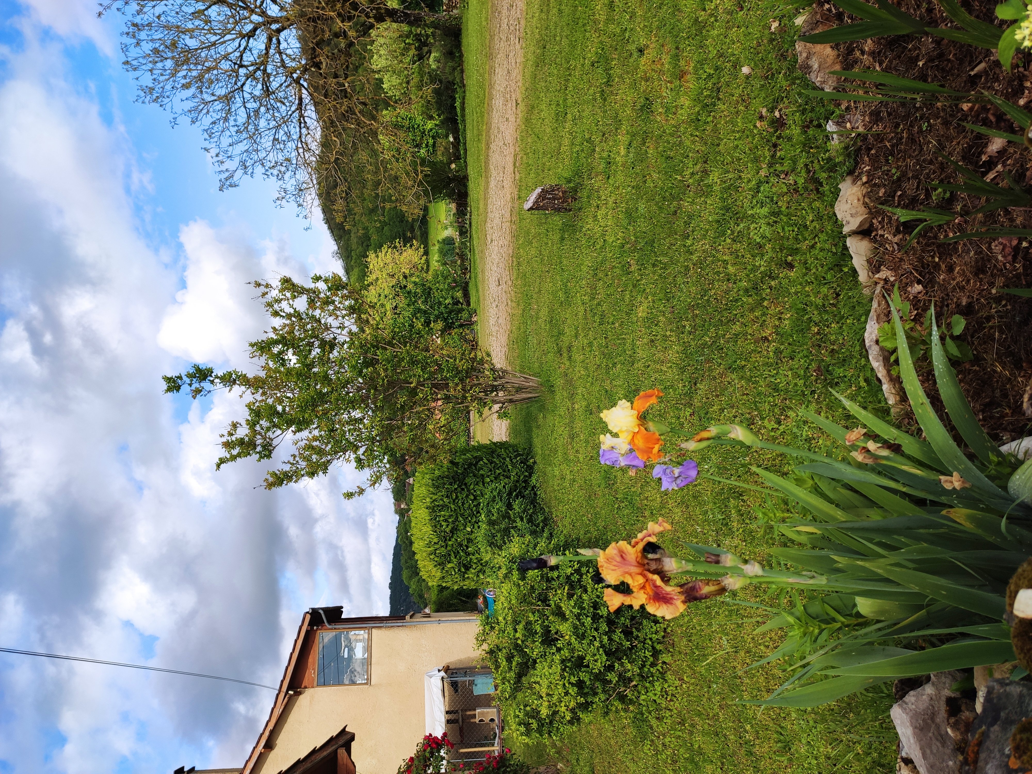 Les chambres des chats malicieux, Cajarc - photo 8