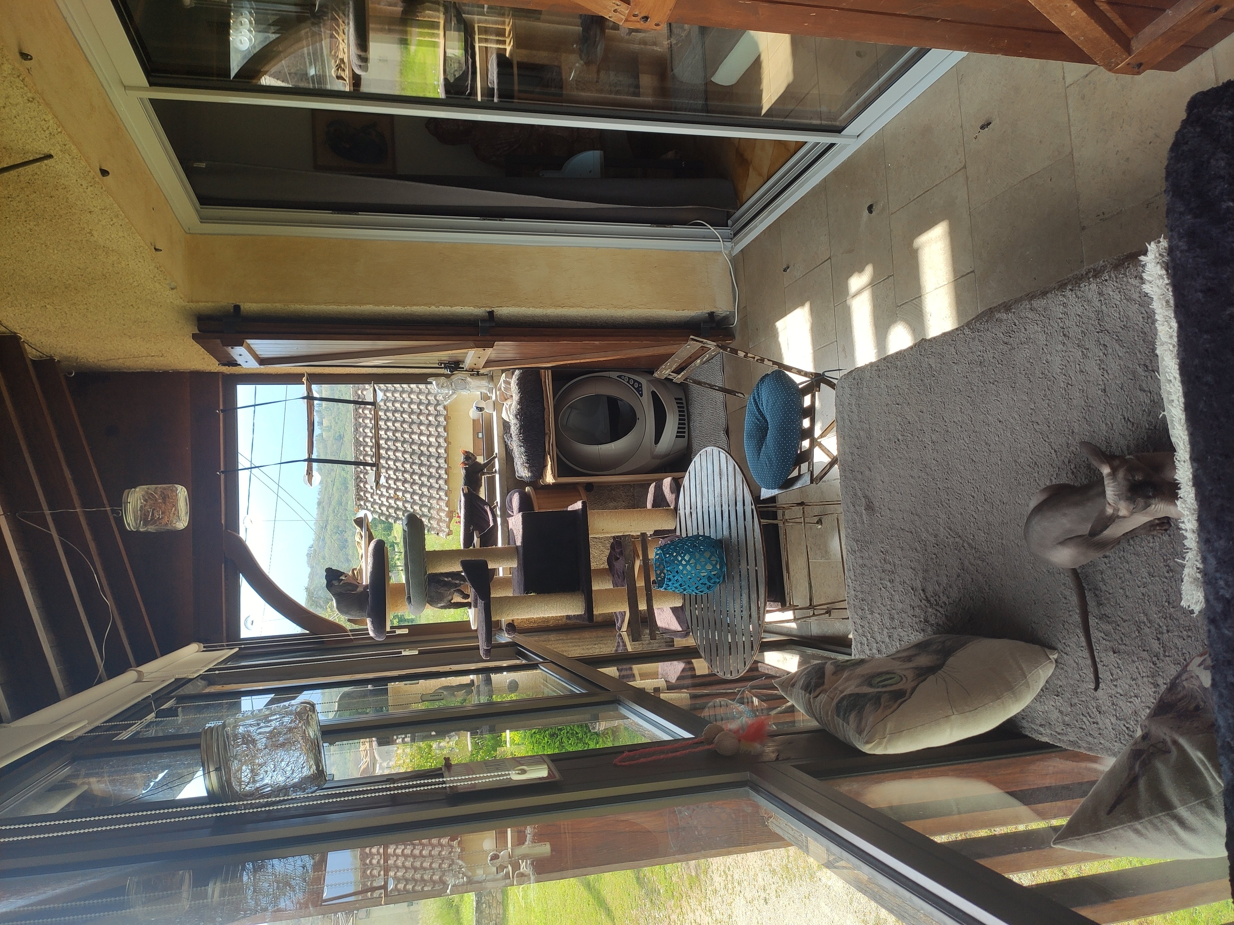 Les chambres des chats malicieux, Cajarc - photo 9