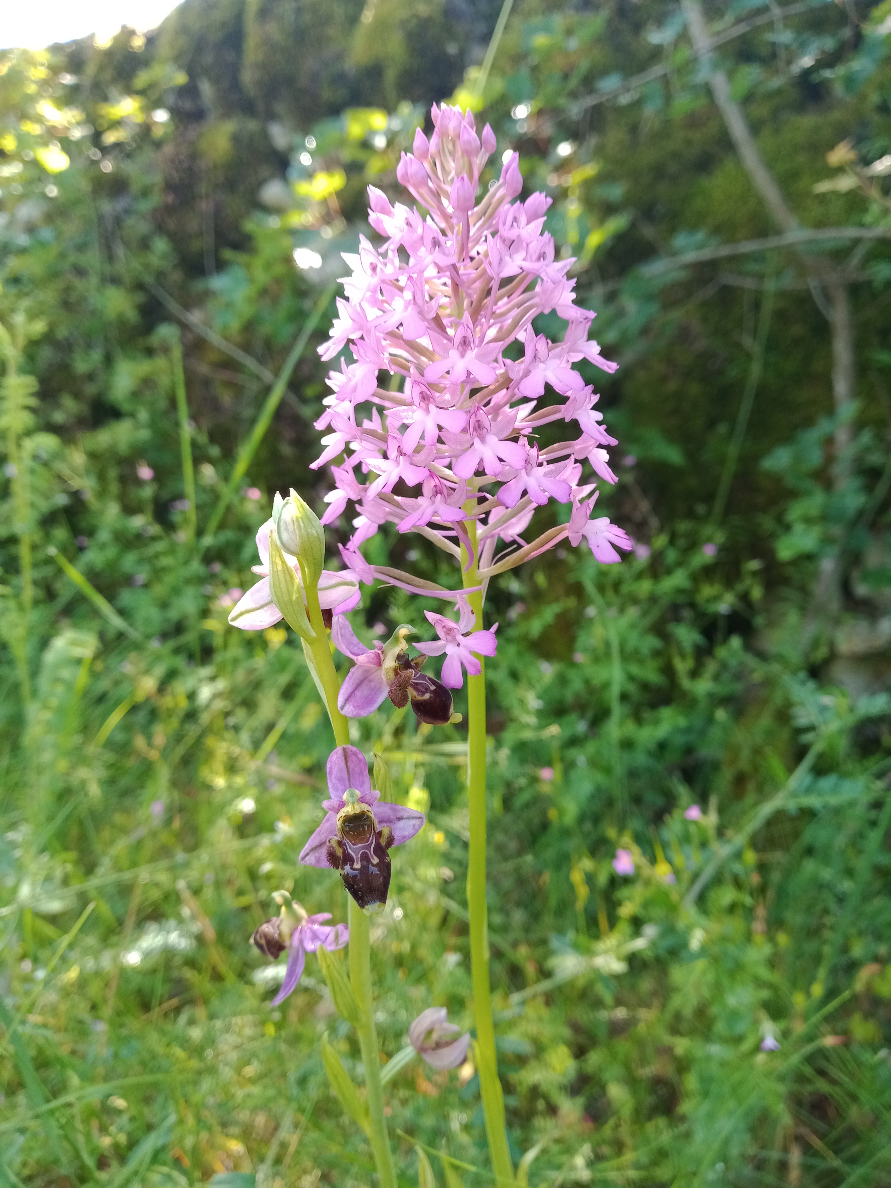 Aventure & vous, Grèzes - photo 10