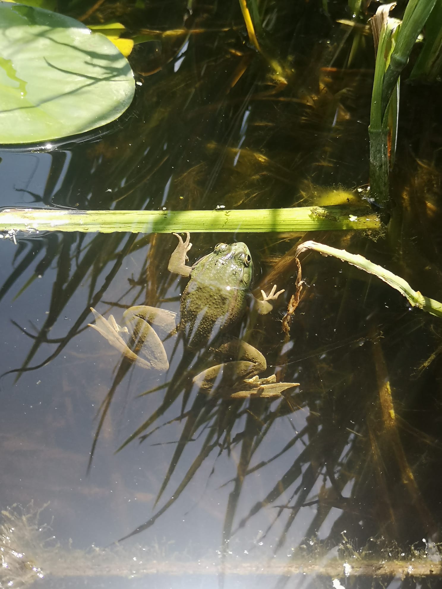 Ferme Qu’es aquo — photo 3