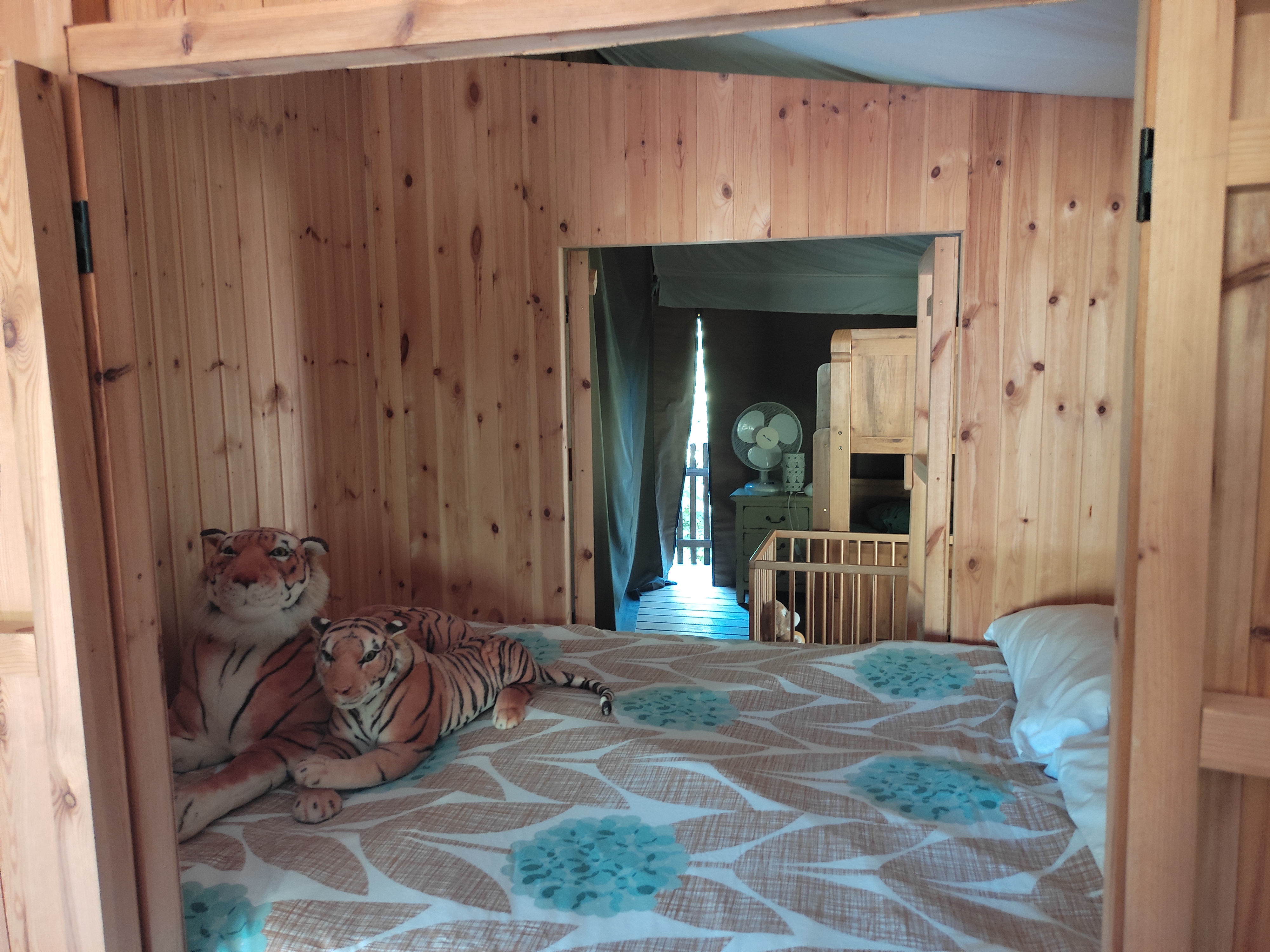 Pagel - Moomba Lodge Elephant, Catus - photo 7