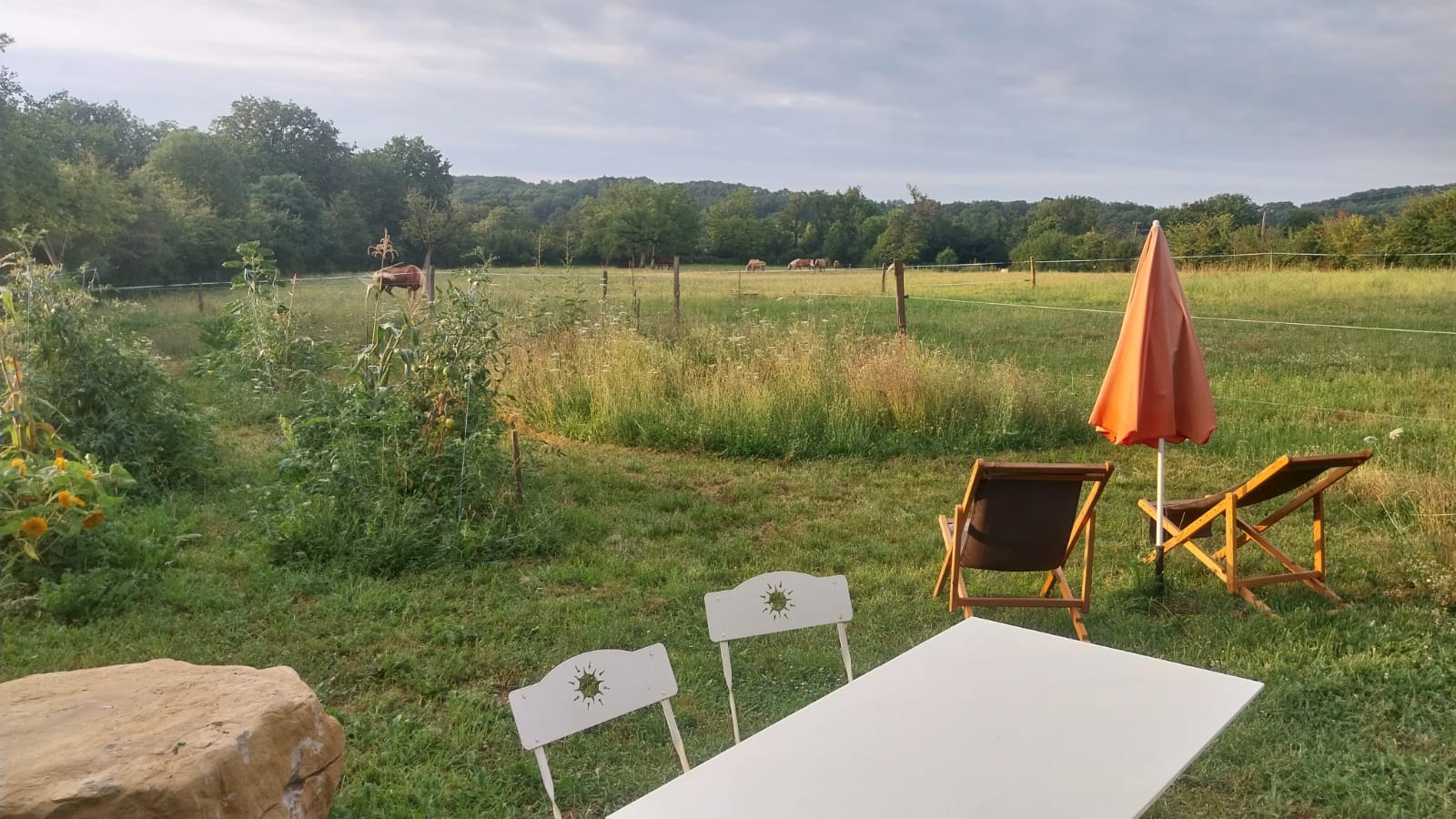 Yourte de la Jumenterie du Pech Blanc, Théminettes - photo 9