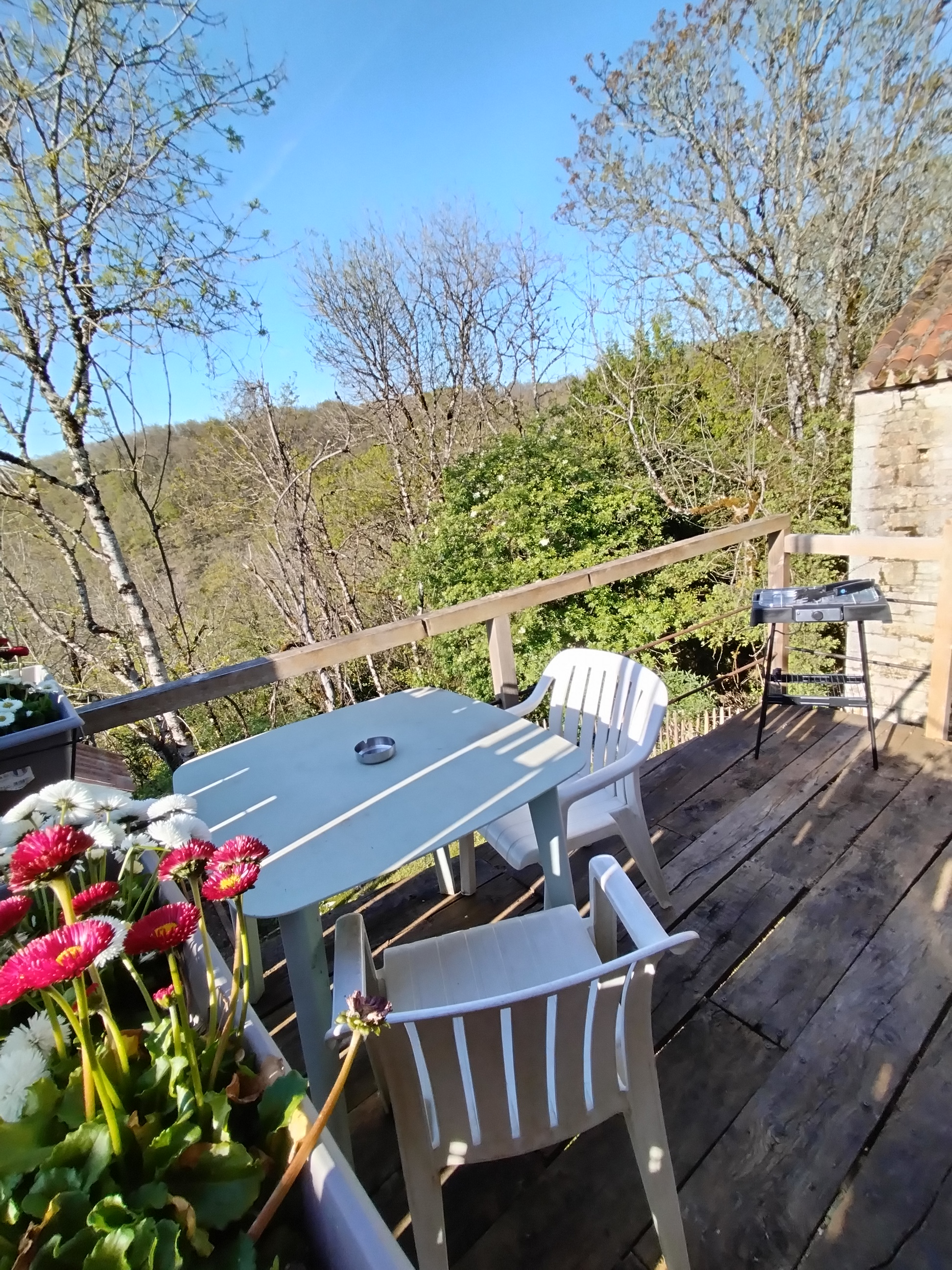 Le Gîte des Roumegas, Maxou - photo 12