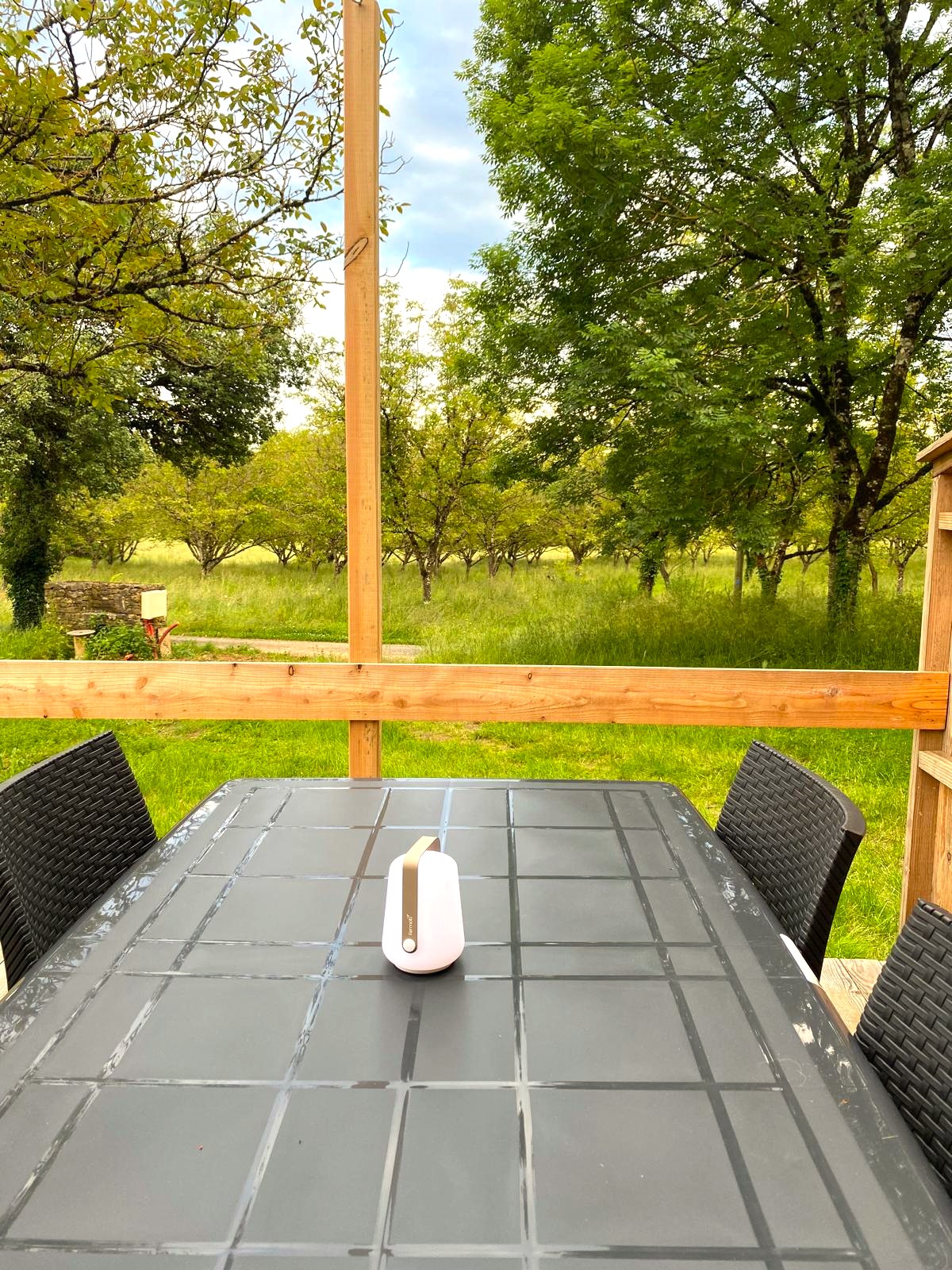 Chalet de l'Oasienne, Lissac-et-Mouret - photo 14