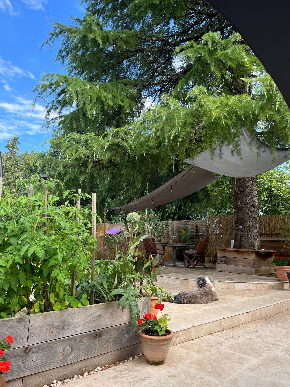 Rusty Shears, Lacapelle-Cabanac - photo 34