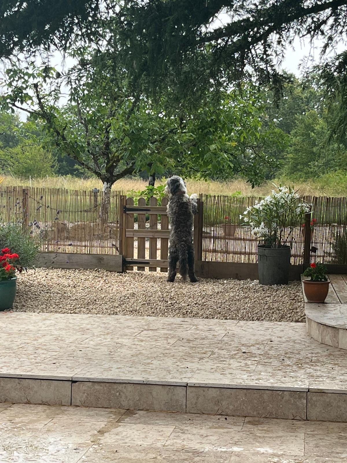 Rusty Shears, Lacapelle-Cabanac - photo 35