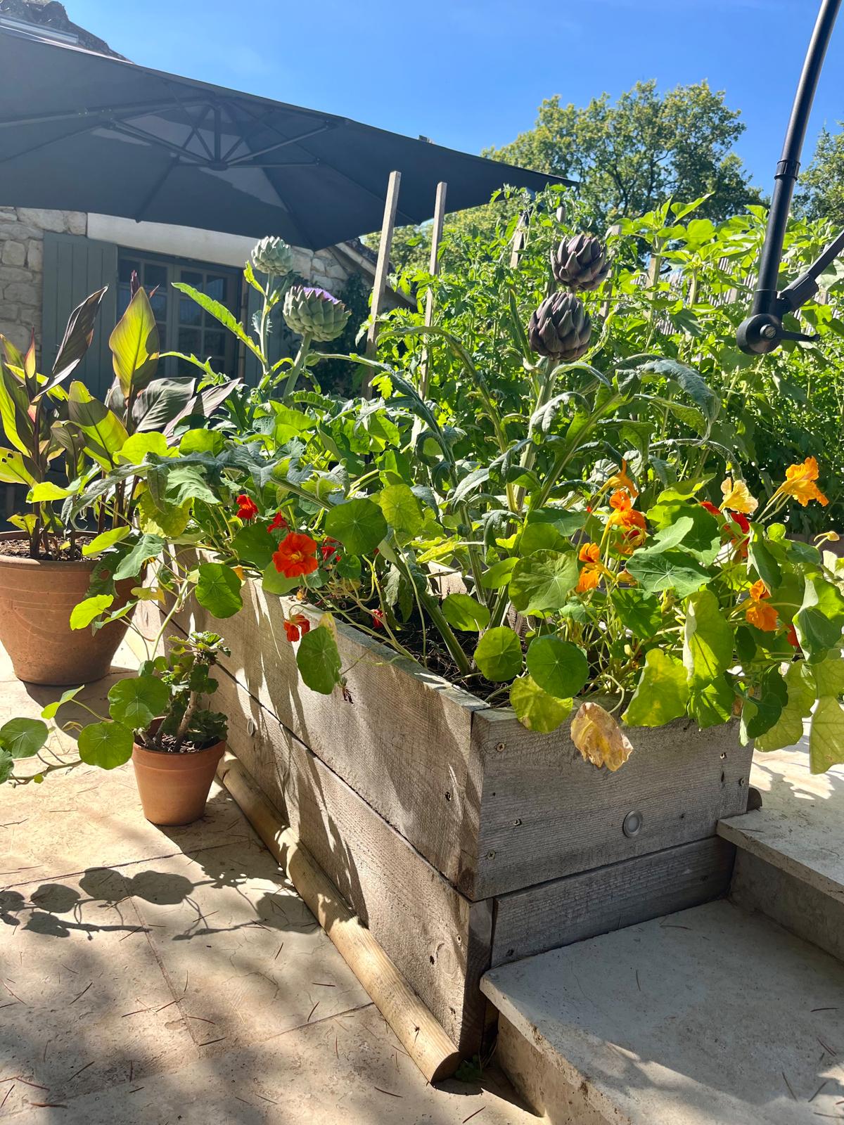 Rusty Shears, Lacapelle-Cabanac - photo 43