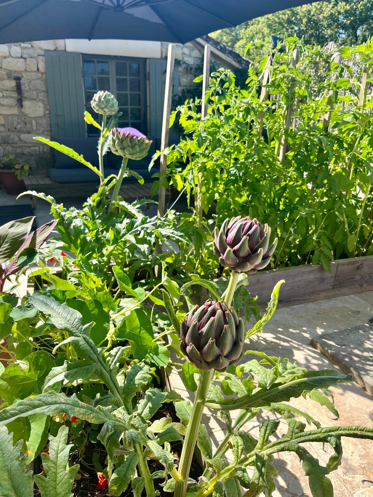 Rusty Shears, Lacapelle-Cabanac - photo 44