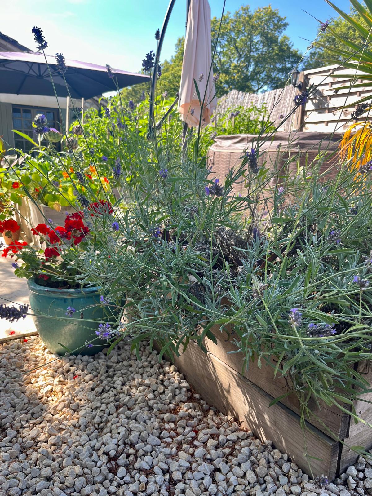 Rusty Shears, Lacapelle-Cabanac - photo 47