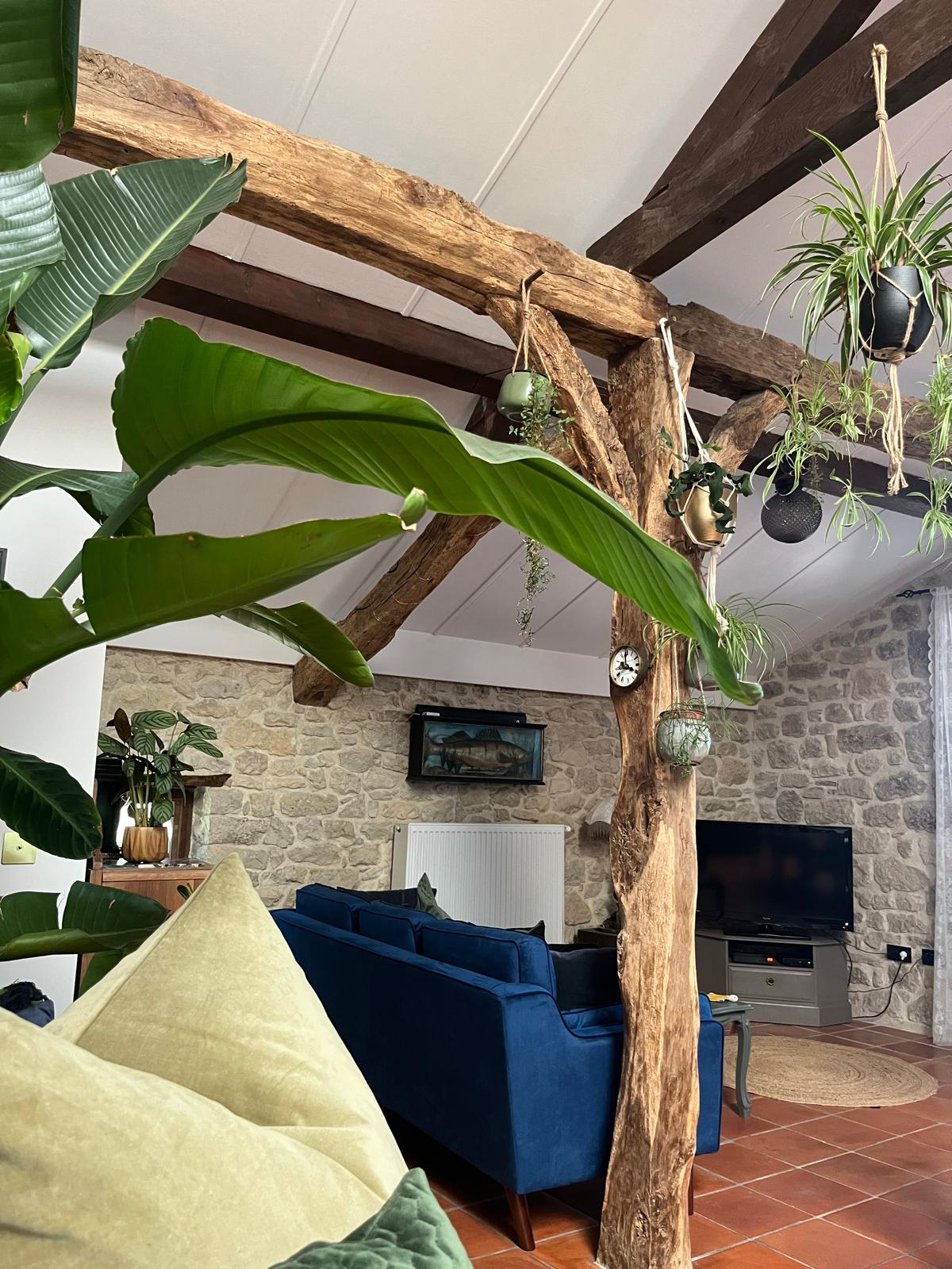 Rusty Shears, Lacapelle-Cabanac - photo 56