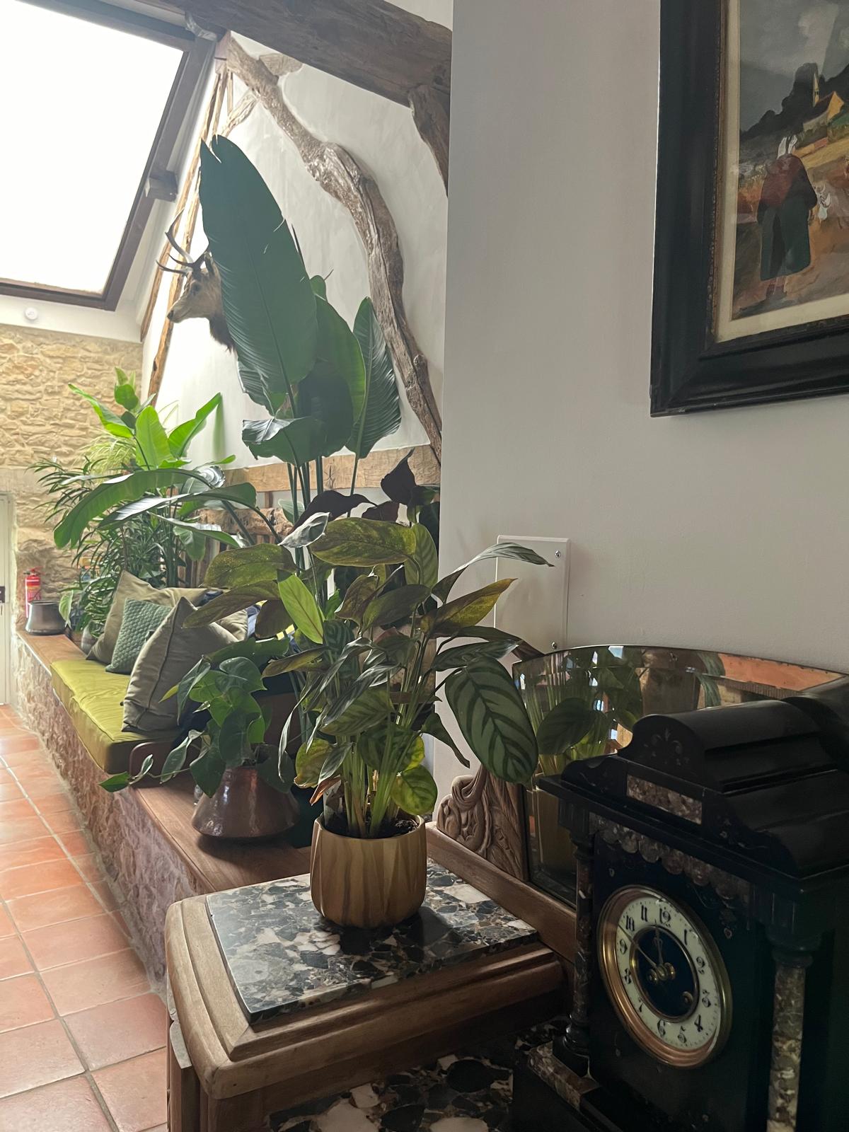 Rusty Shears, Lacapelle-Cabanac - photo 57