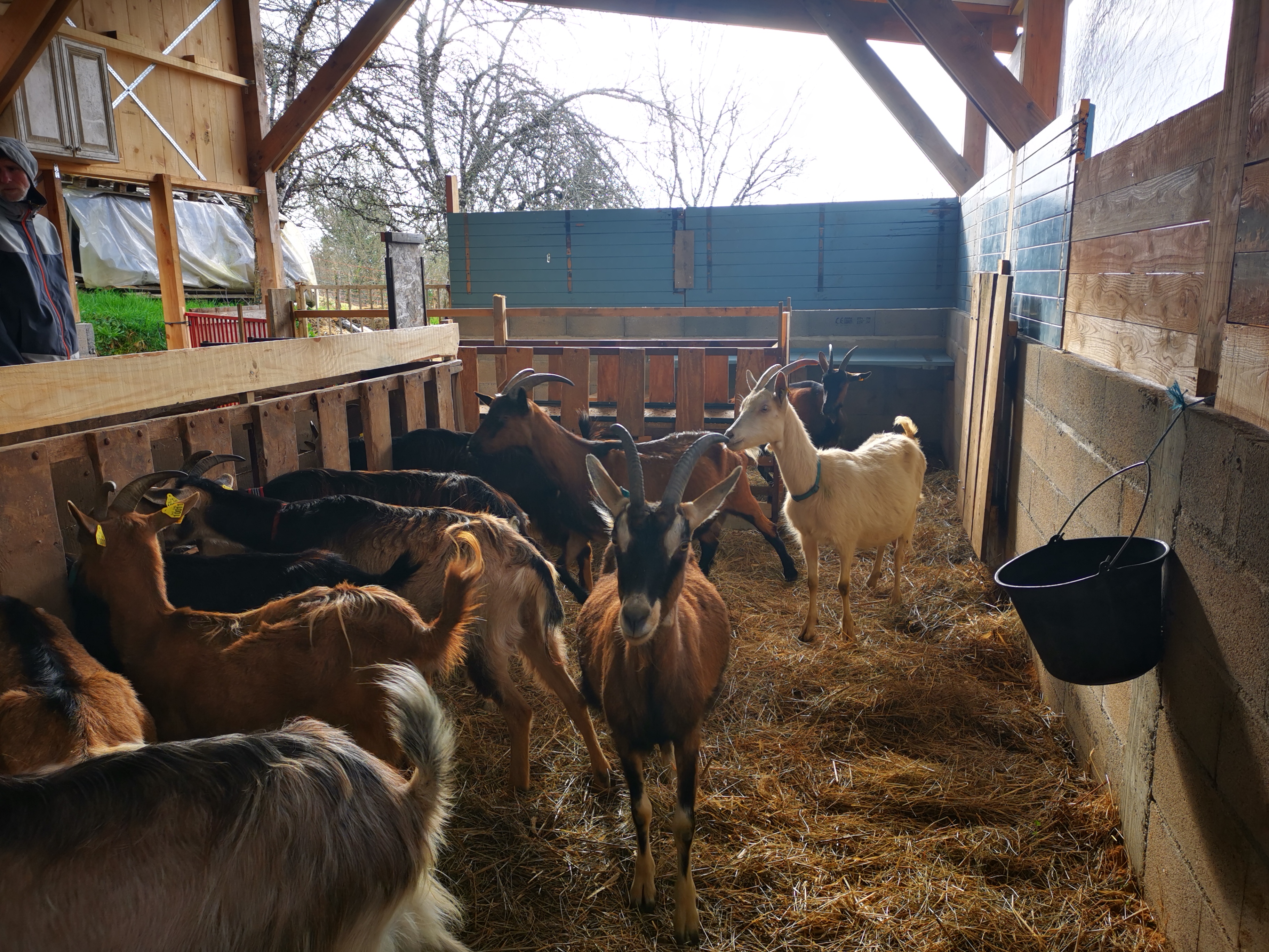 Gîte accueil paysan proche Figeac