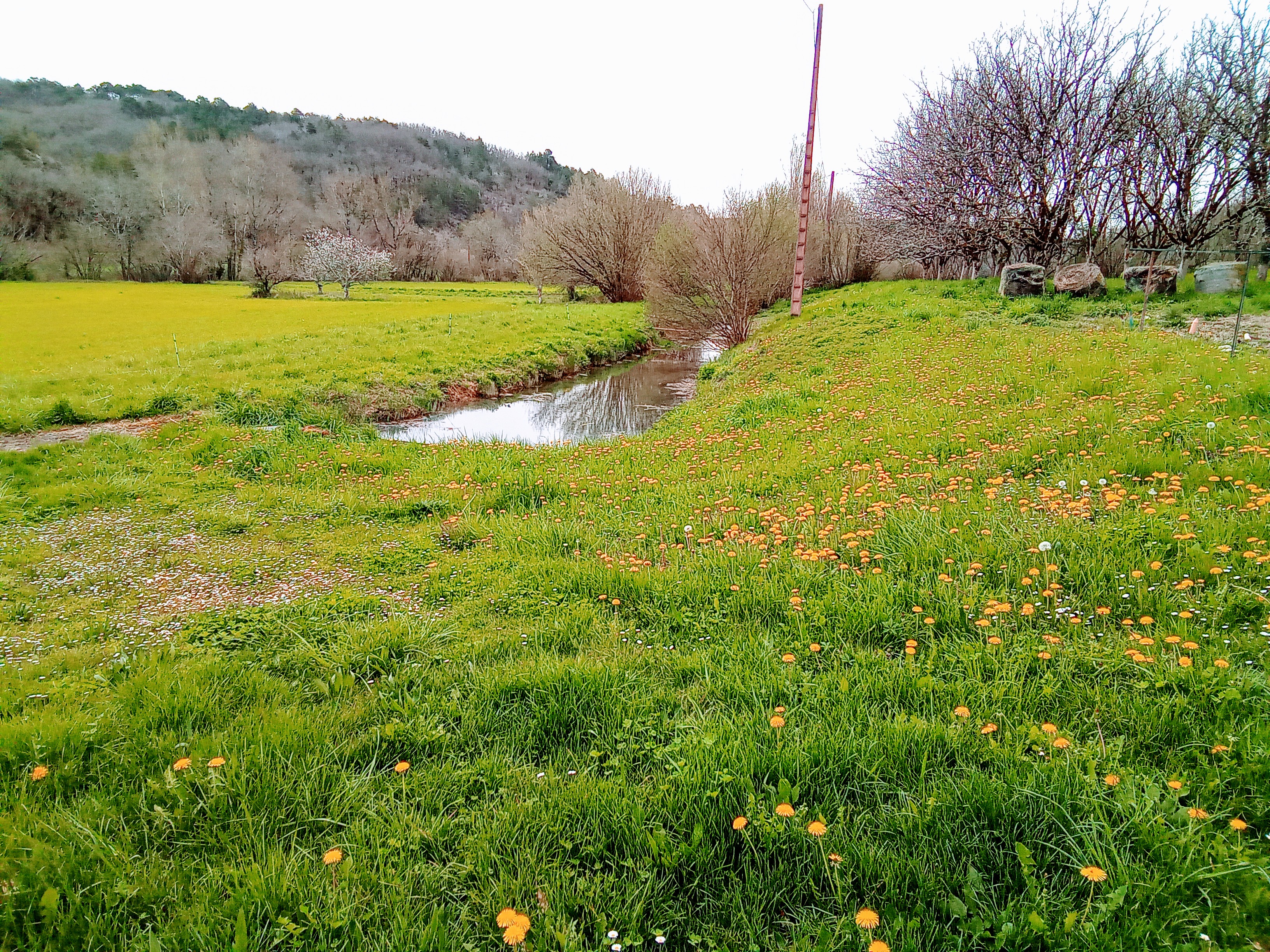 Le Ségala, Bélaye - photo 9