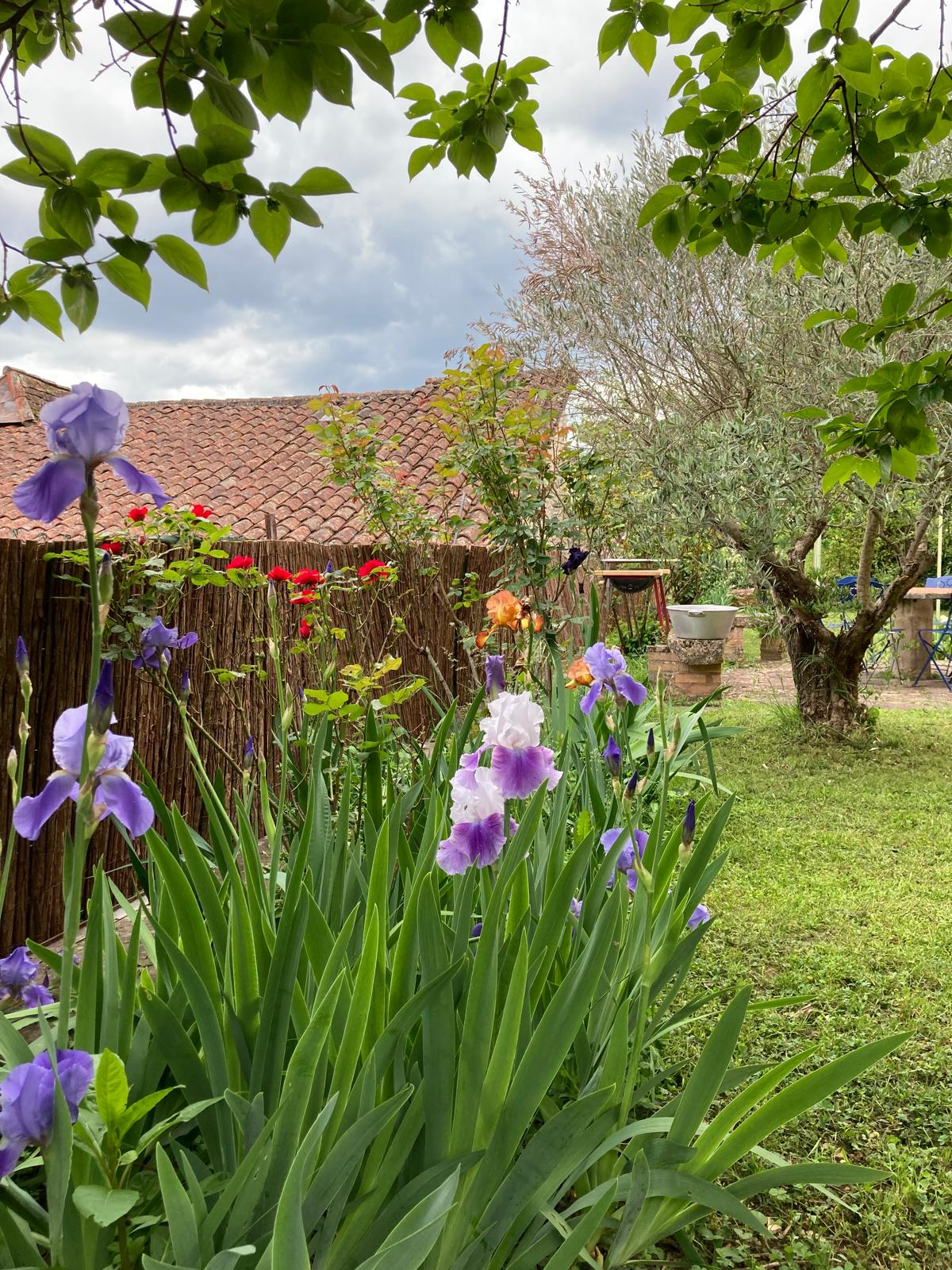 Au Jardin de Lola, Figeac - photo 2